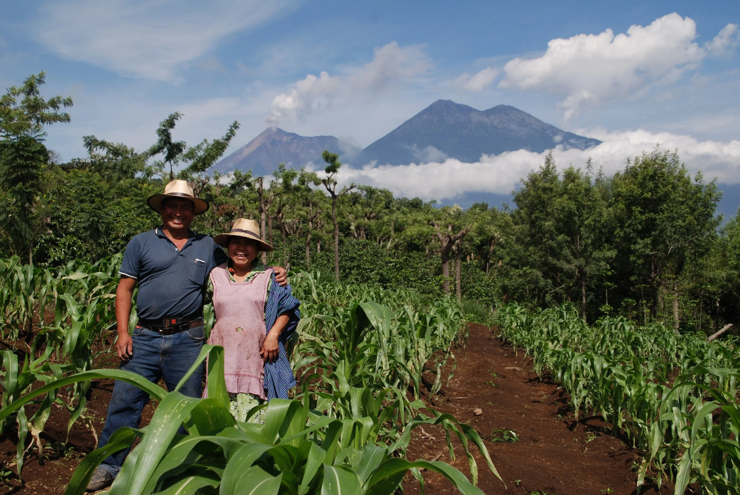 Immersion program - living with homestay family