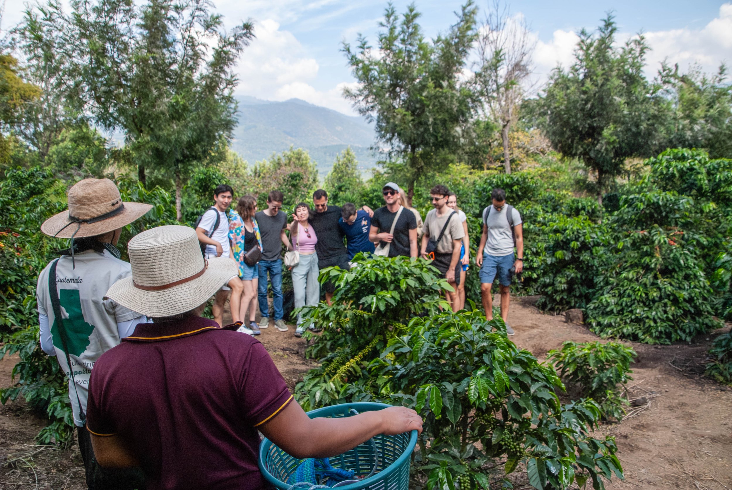 Group of tourists preparing to take a photo between rows of coffee plants in Guatemala duting a coffee tour | builda brighter future for coffee communities in Guatemala | honoring our roots