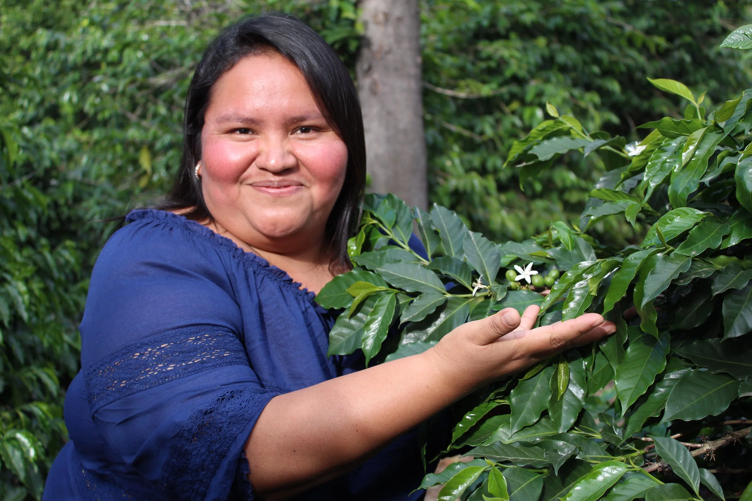 Portrait of young coffee grower posing next to a coffee tree | young group of coffee producers
