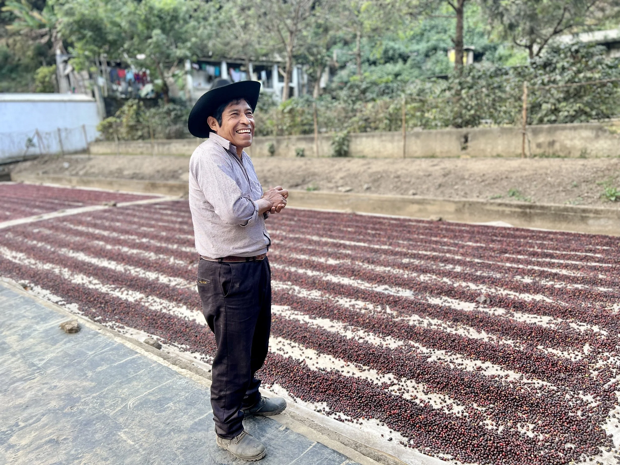 Guatemalan coffee producer standing next to drying patio - community impact