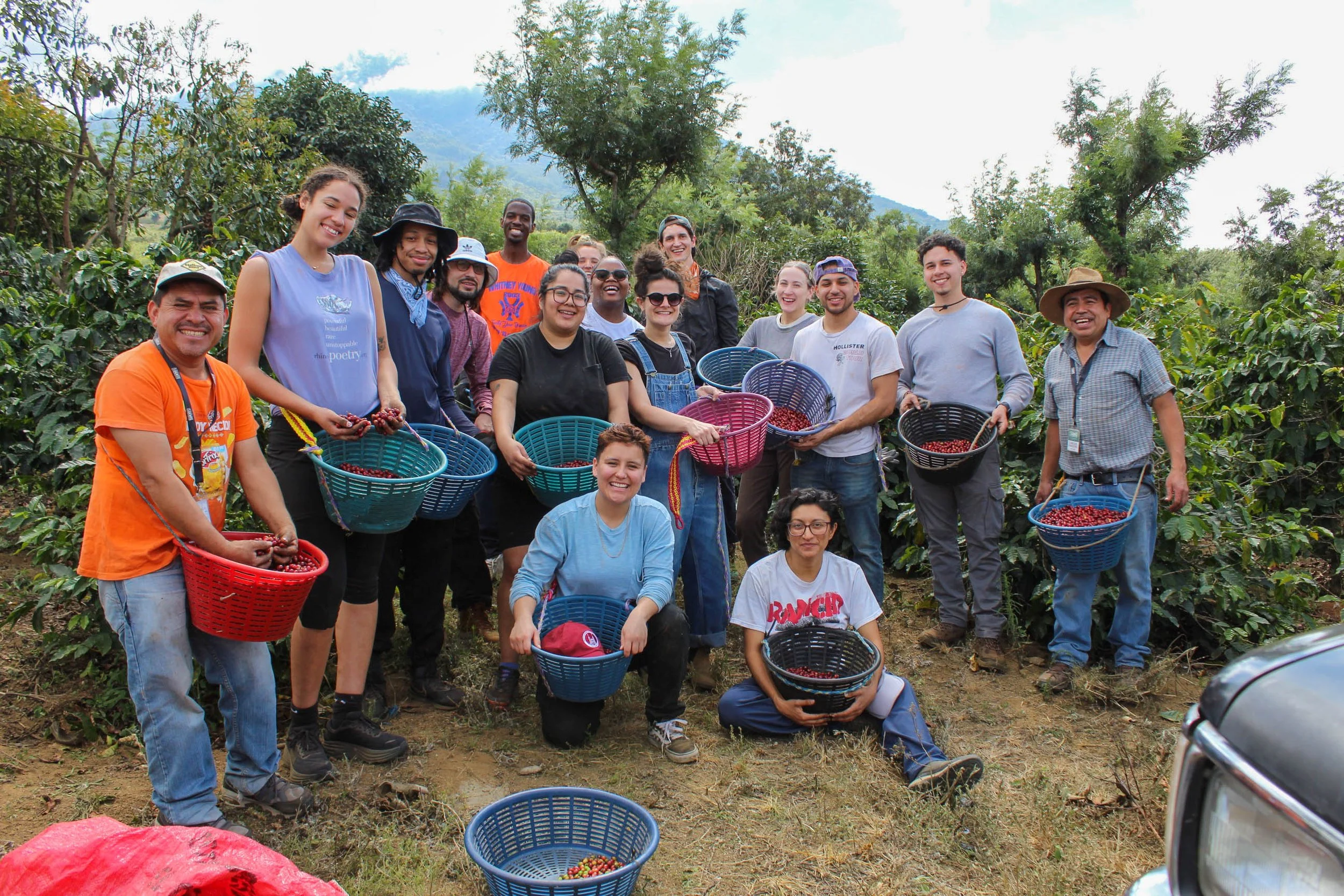 service learning program volunteer group harvesting coffee from producers from the region of Antigua in Guatemala