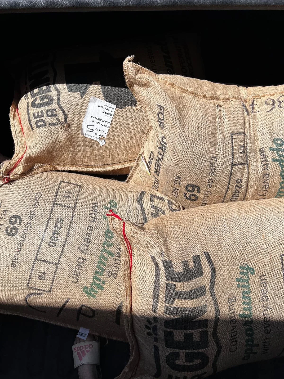 Arabica coffee beans in De La Gente jute sacks
