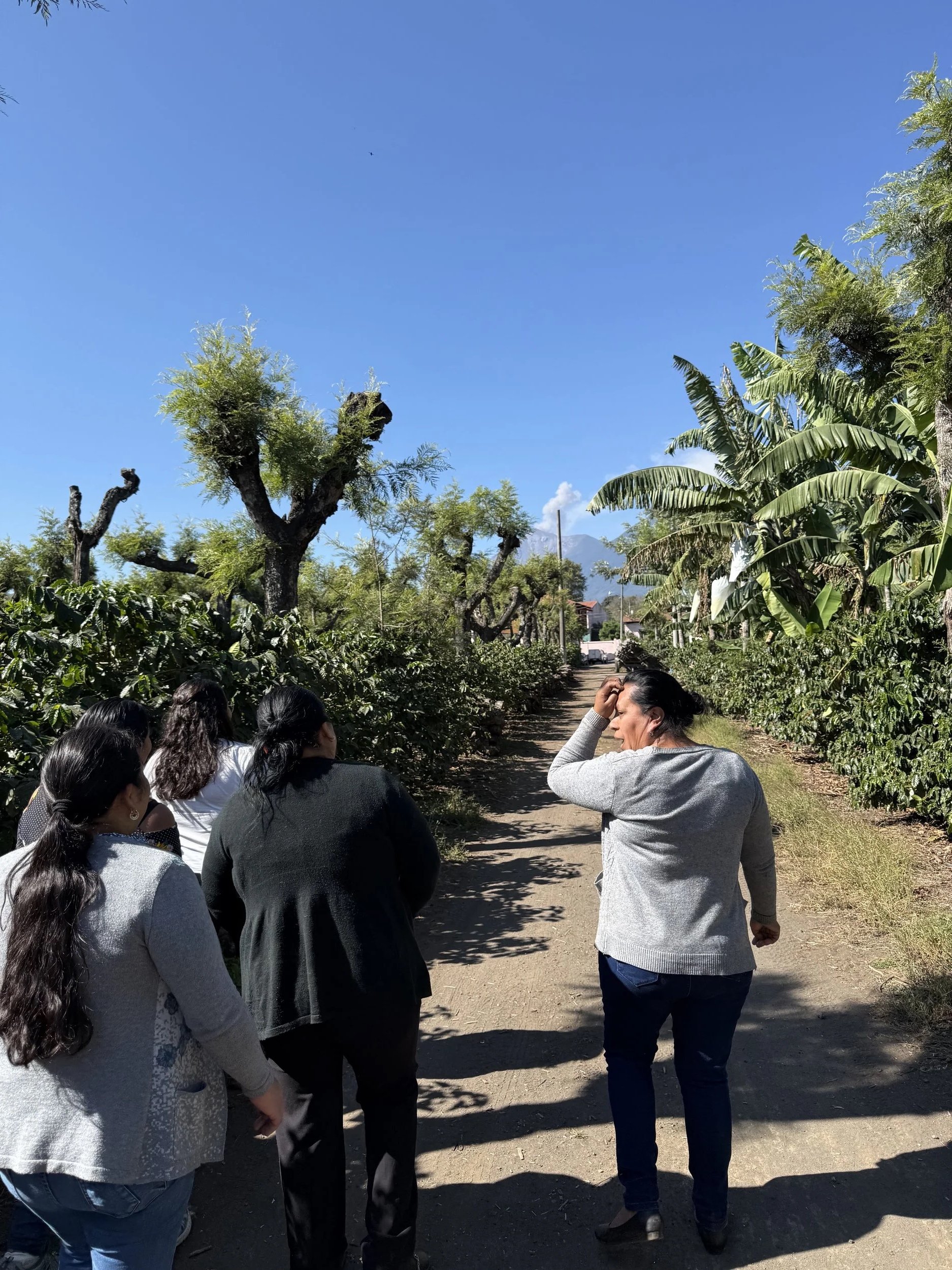 providing training and supporting education for coffee producers