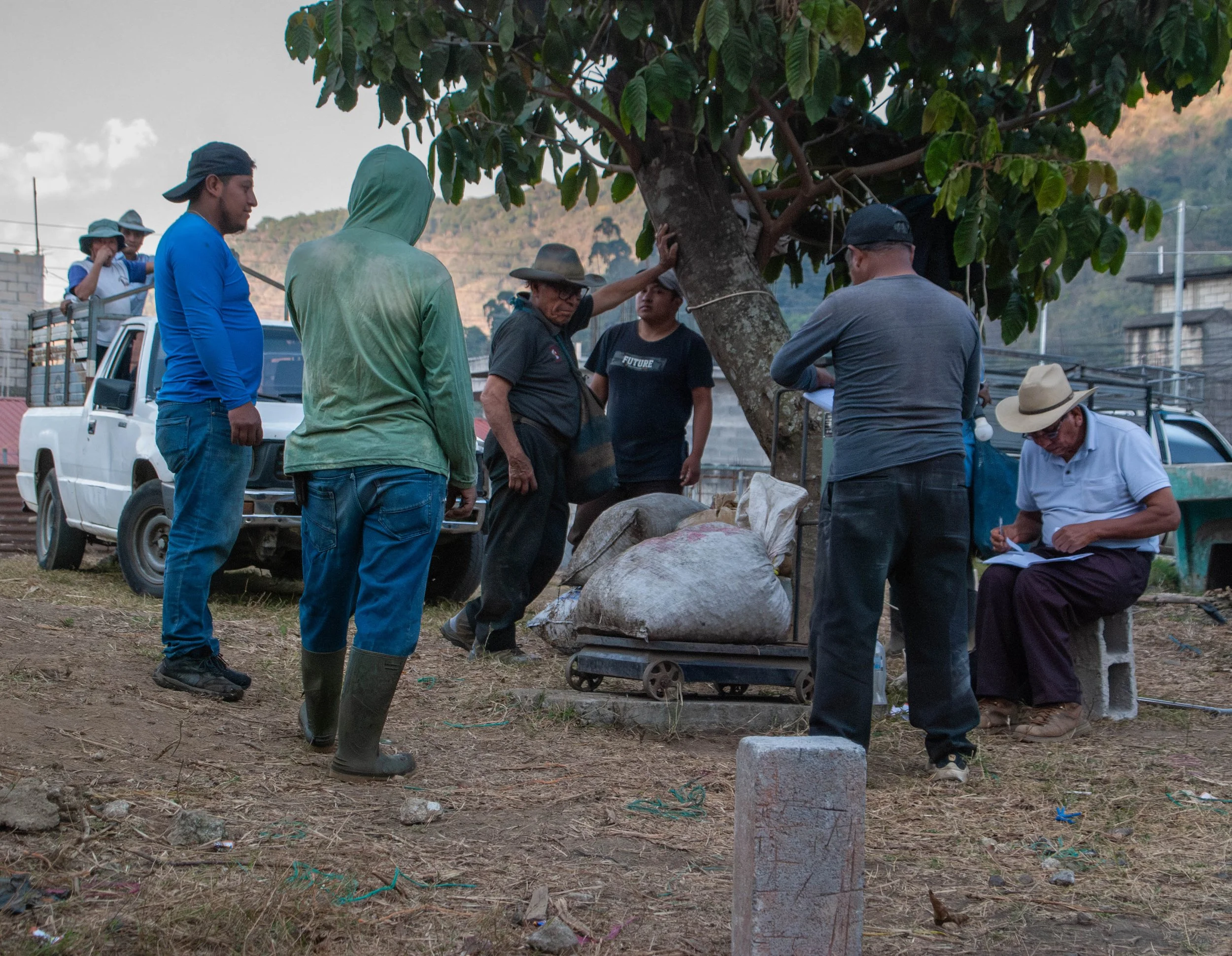 community sustainability showcased by coffee farmers cooperatives in Guatemala