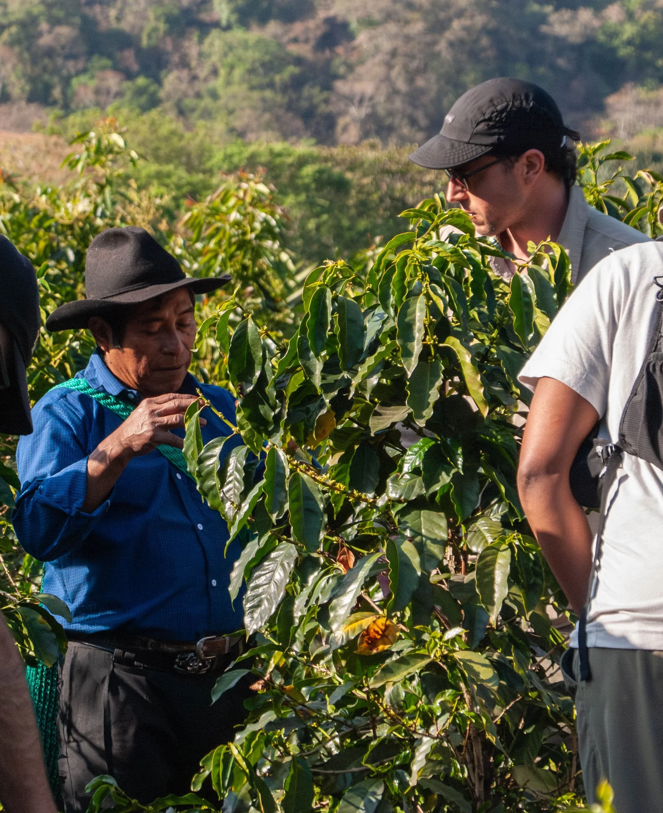 Coffee producer and visitor exchanging ideas during coffee origin trip to Guatemala with De La Gente