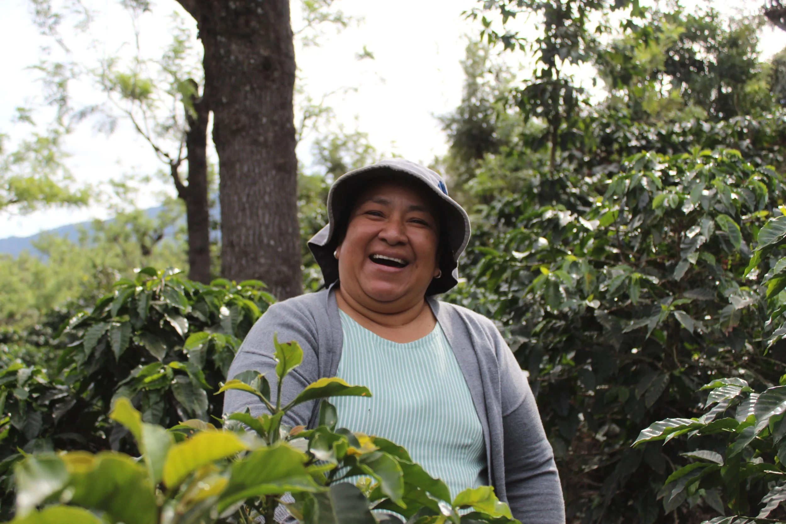 Guatemalan woman coffee producer in fields of Guatemala smiling at the camera | women Accelerating Change