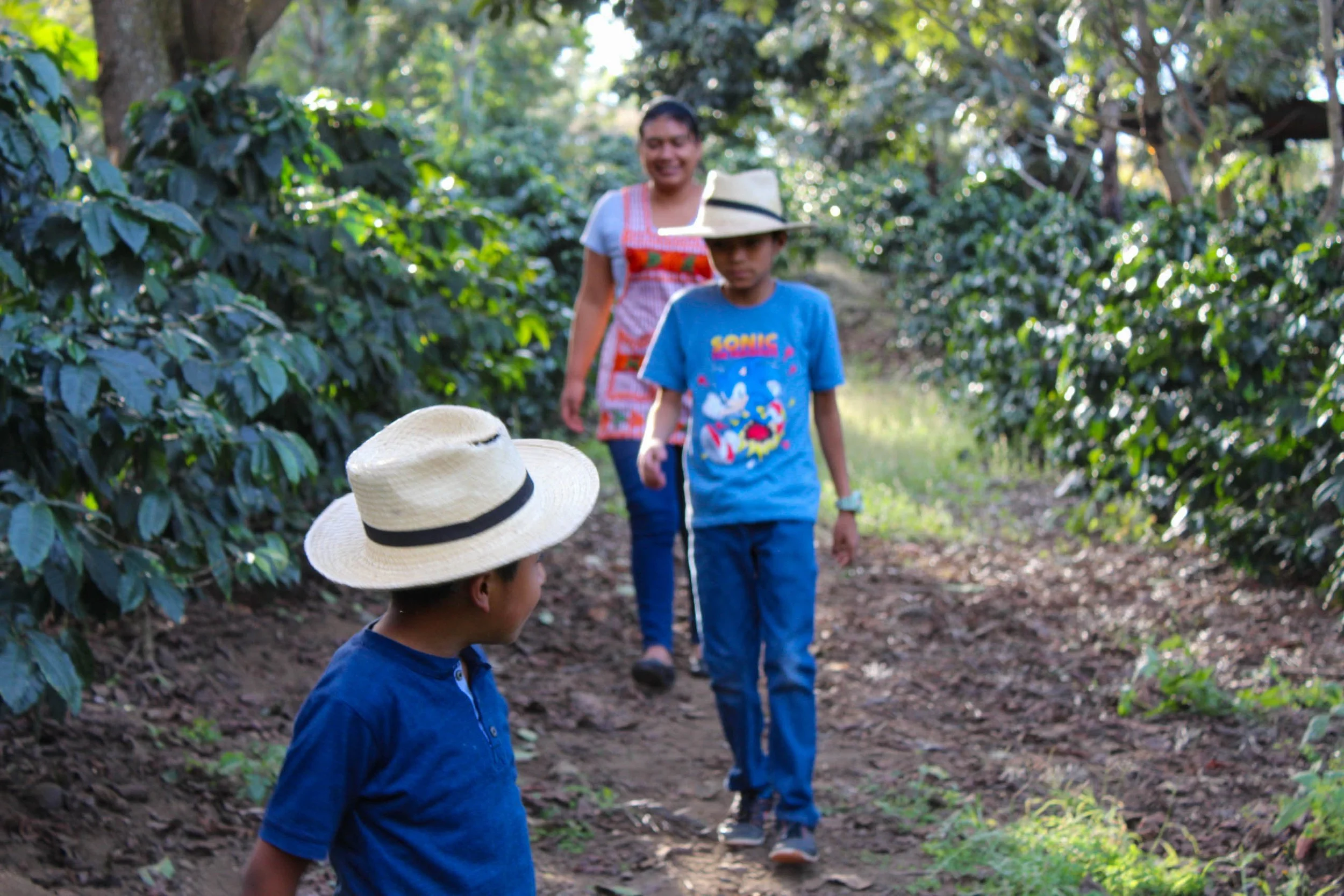 Kids walking through coffee fields | supporting education for children through more than coffee purchases