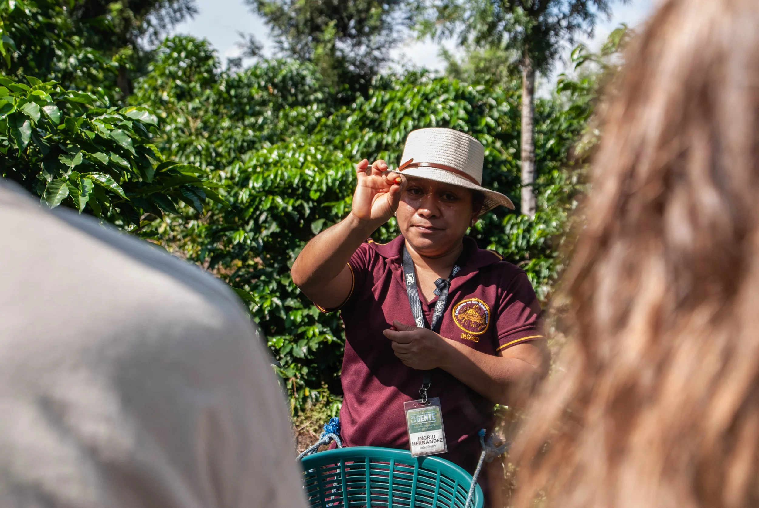 reflecting on the new year | creating change in coffee communities through local tourism