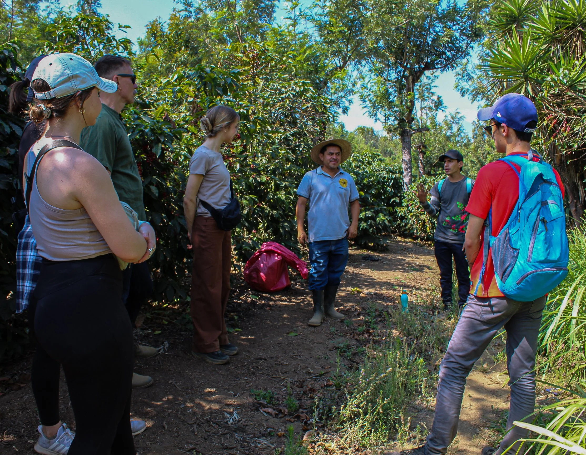 trip participants paying close attention to coffee producer during a coffee tour in antigua
