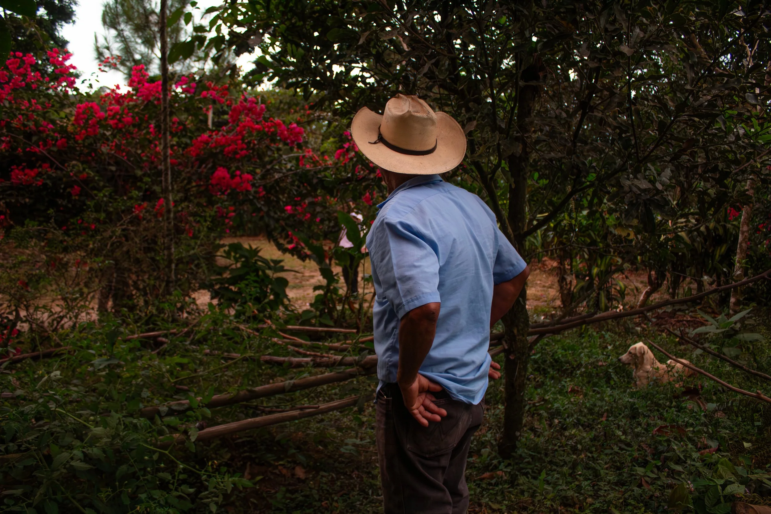 coffee producer discussing furthering sustainability in coffee | importance of shade trees for organic coffee