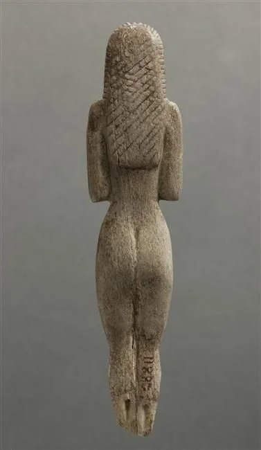 WHAT IS FASCIA &amp; WHY DO WE CARE?