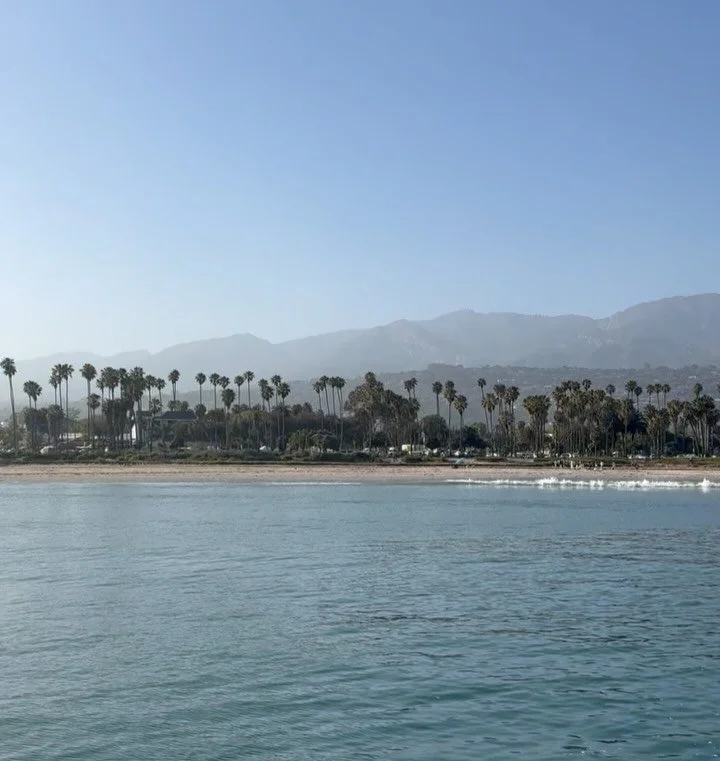 Seven days in Santa Barbara. Mostly just feeling fascia under my hands and eating strawberries 🍓