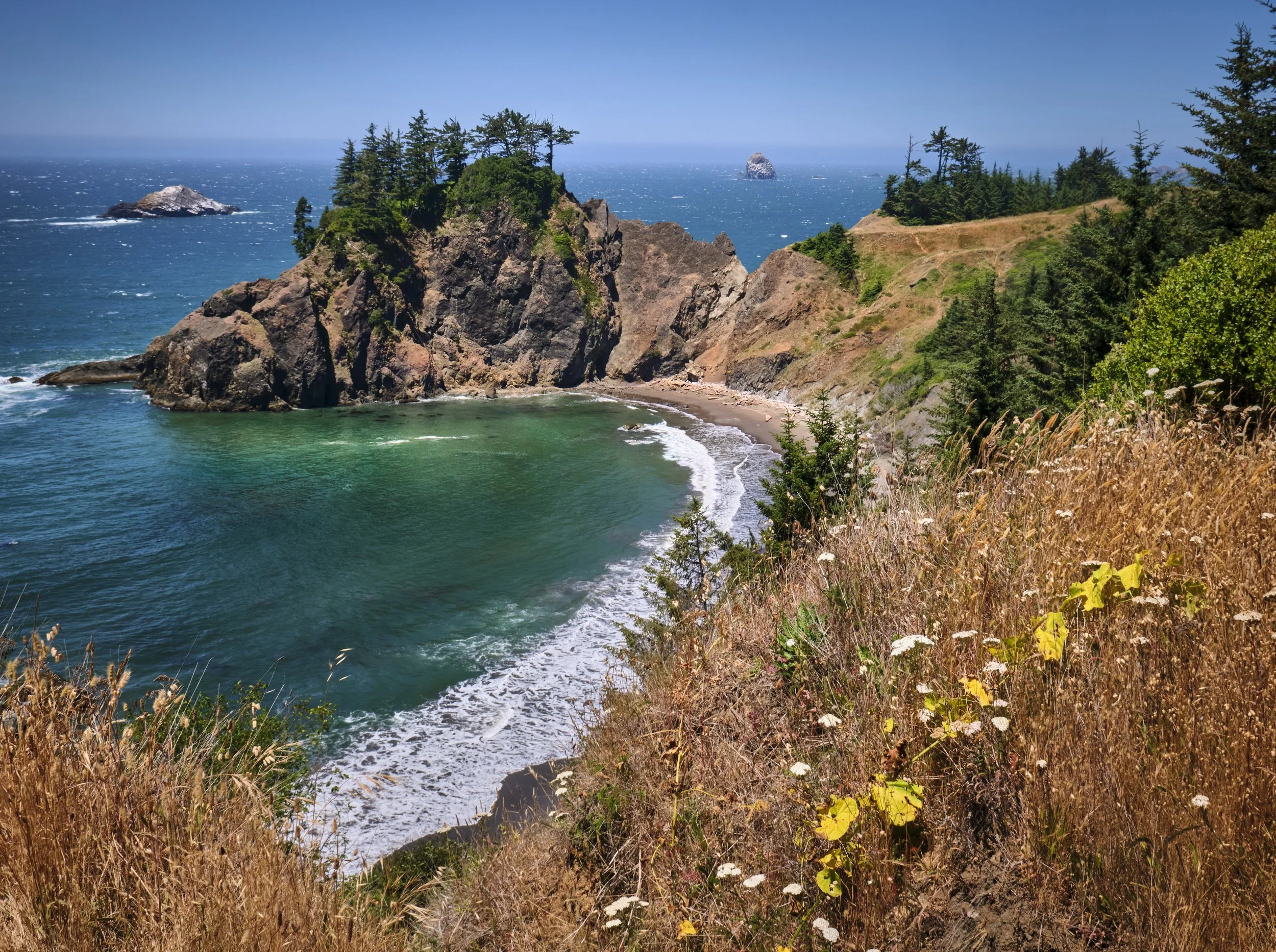 OREGON  COAST DAY 1  01-07-23XF16-80mmF4 R OIS WR 16565.jpg