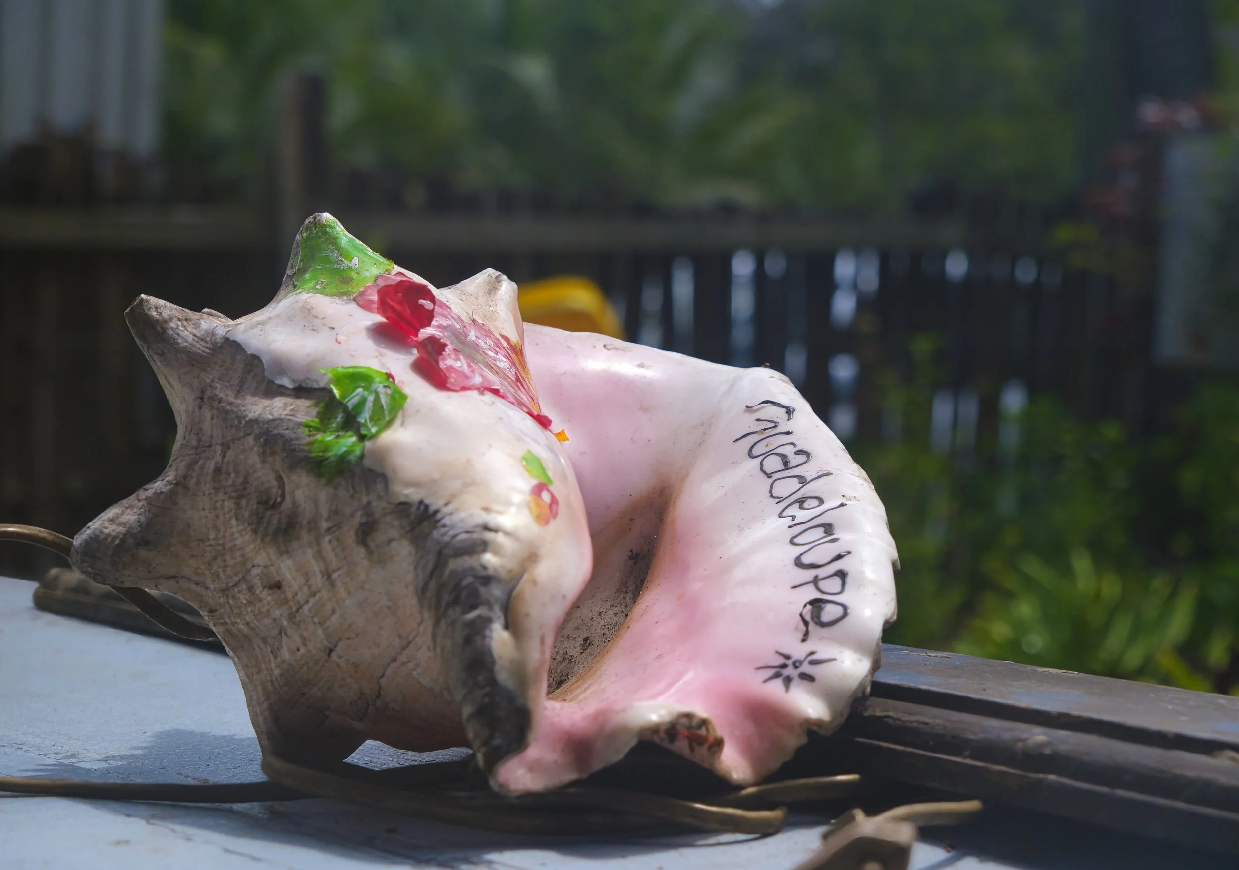 GUADELOUPE  LN GUADELOUPE  _DSF9738.jpg