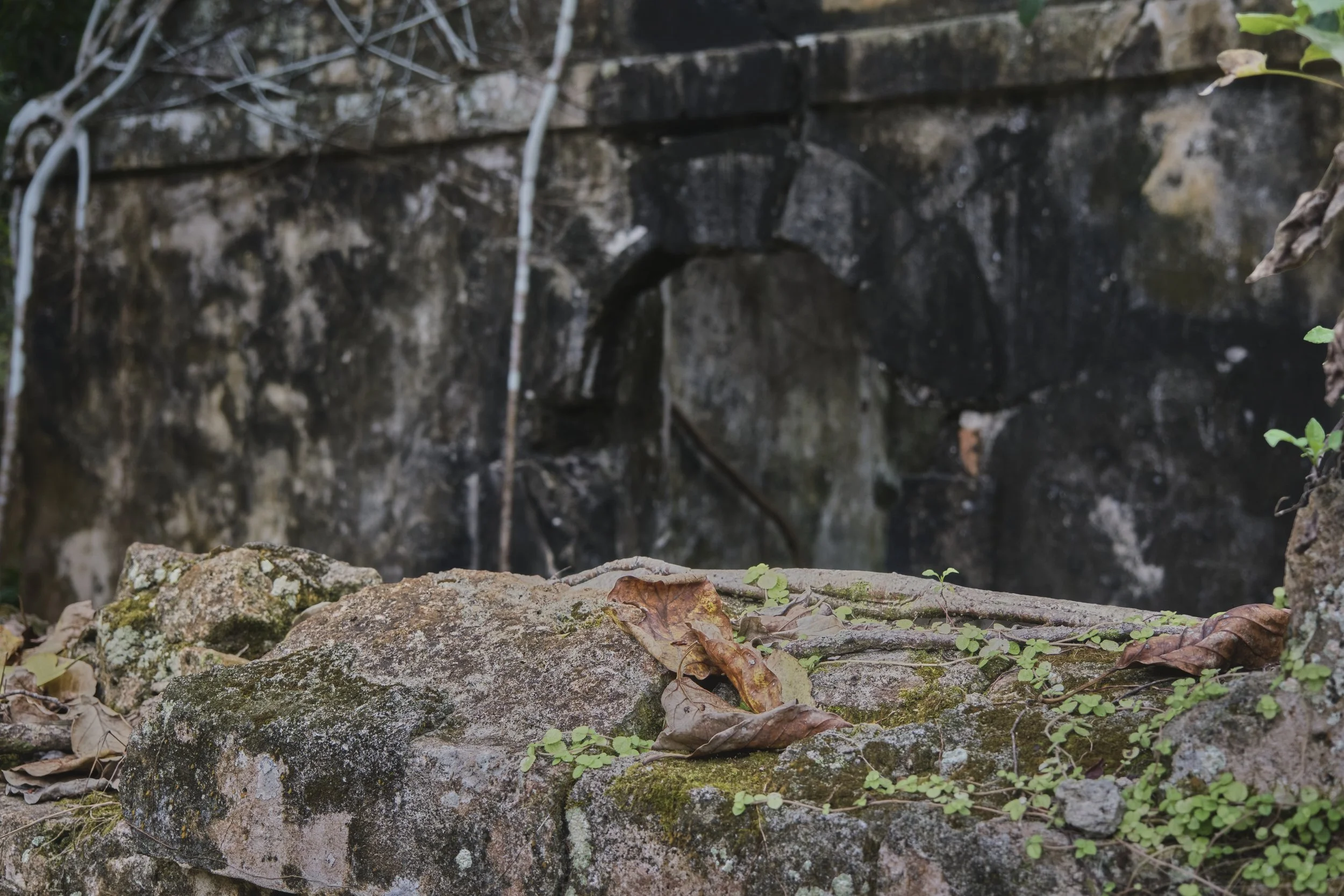 There is an abondoned slave prison in Petite Canal.  I took photos of leaves that had fallen from trees.  As though they were symbols of the lives lost in this place. 