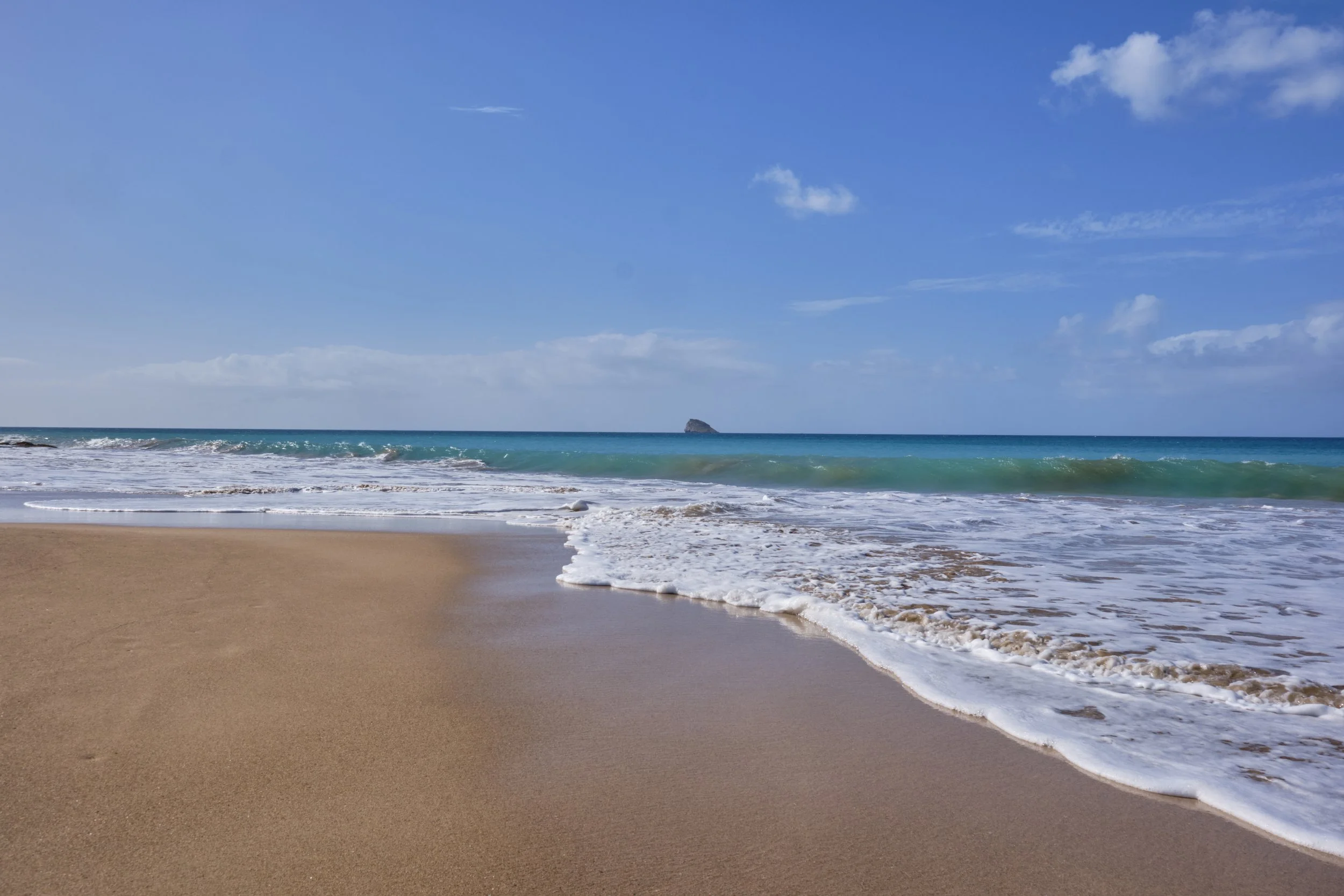 GUADELOUPE  GUADELOUPE  _DSF9902.jpg