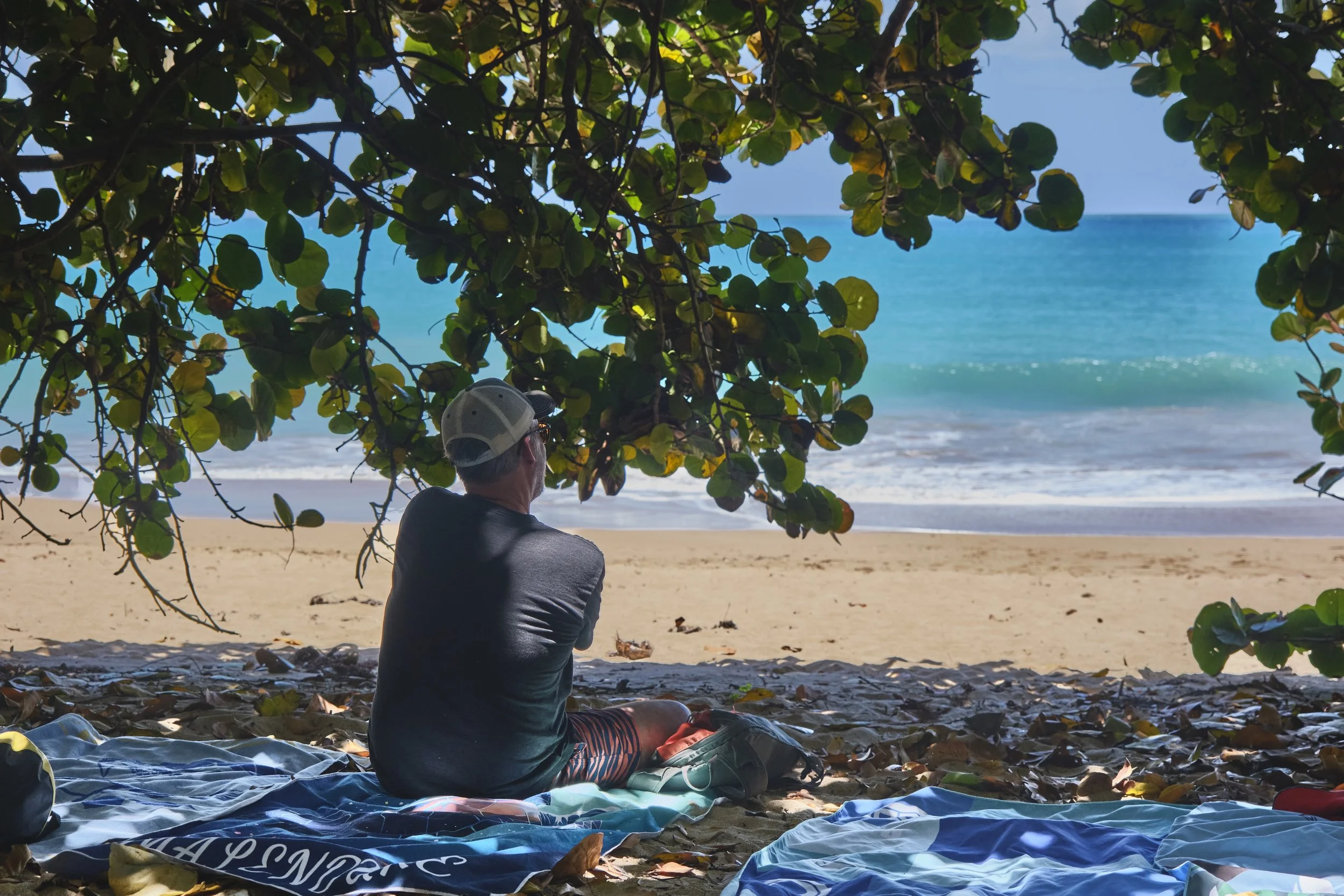 GUADELOUPE  GUADELOUPE  _DSF9847.jpg