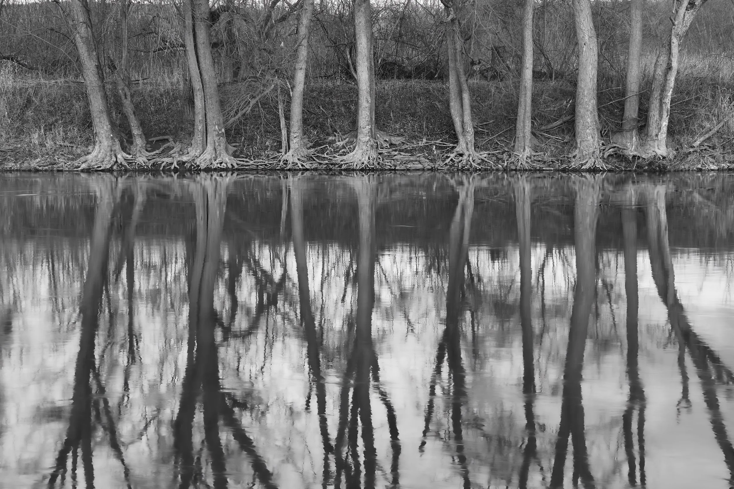 NLN3 REFLECTION.jpeg