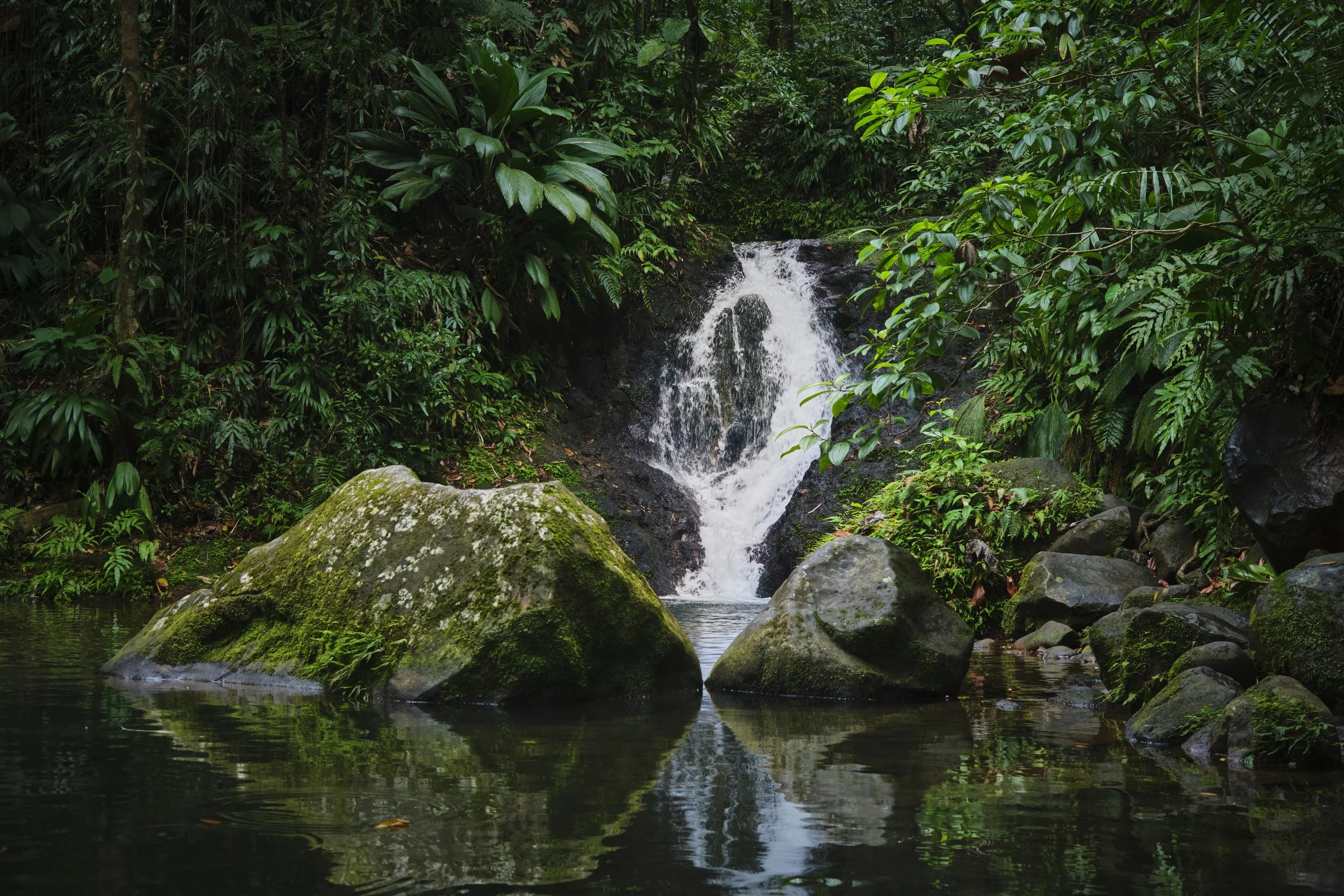 GUADELOUPE  GUADELOUPE  _DSF8152 4.jpg