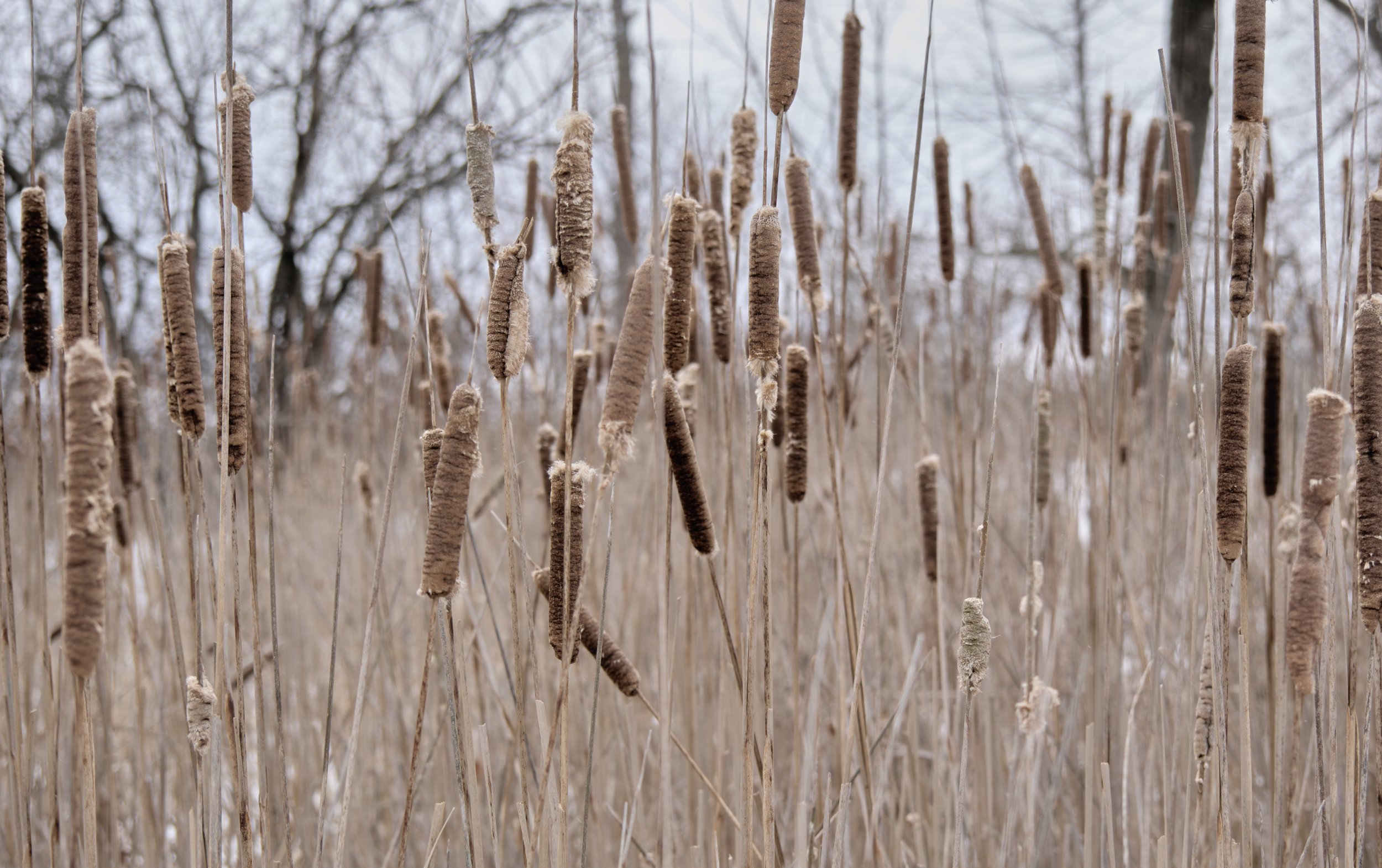 VERMONT  ROUND PONDXF16-80mmF4 R OIS WRX-H226-02-23 13404.jpg