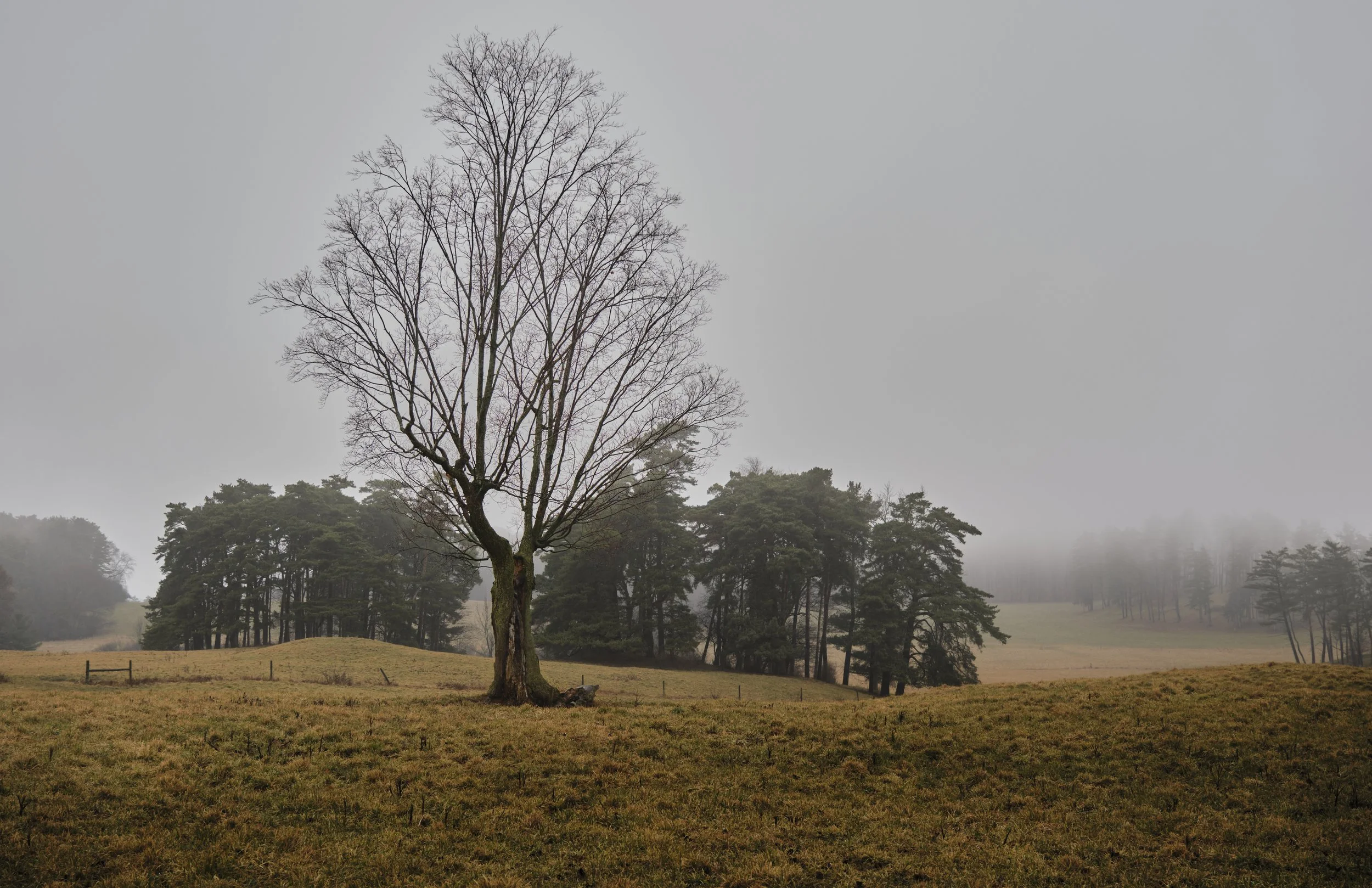 VERMONT  FOG  28-12-23SXF16-80mmF4 R OIS WR 17979.jpg