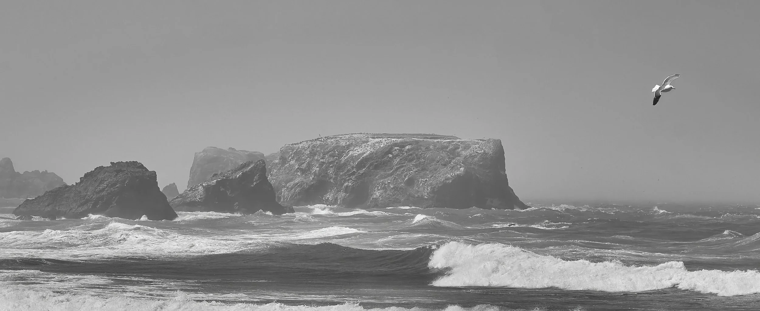 OREGON  LN COAST DAY 3  03-07-23XF16-80mmF4 R OIS WR 16738.jpg