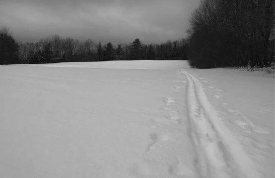 5930FB43-E4AB-4123-B69F-AC3B39A1E58D_4_5005_c.jpeg