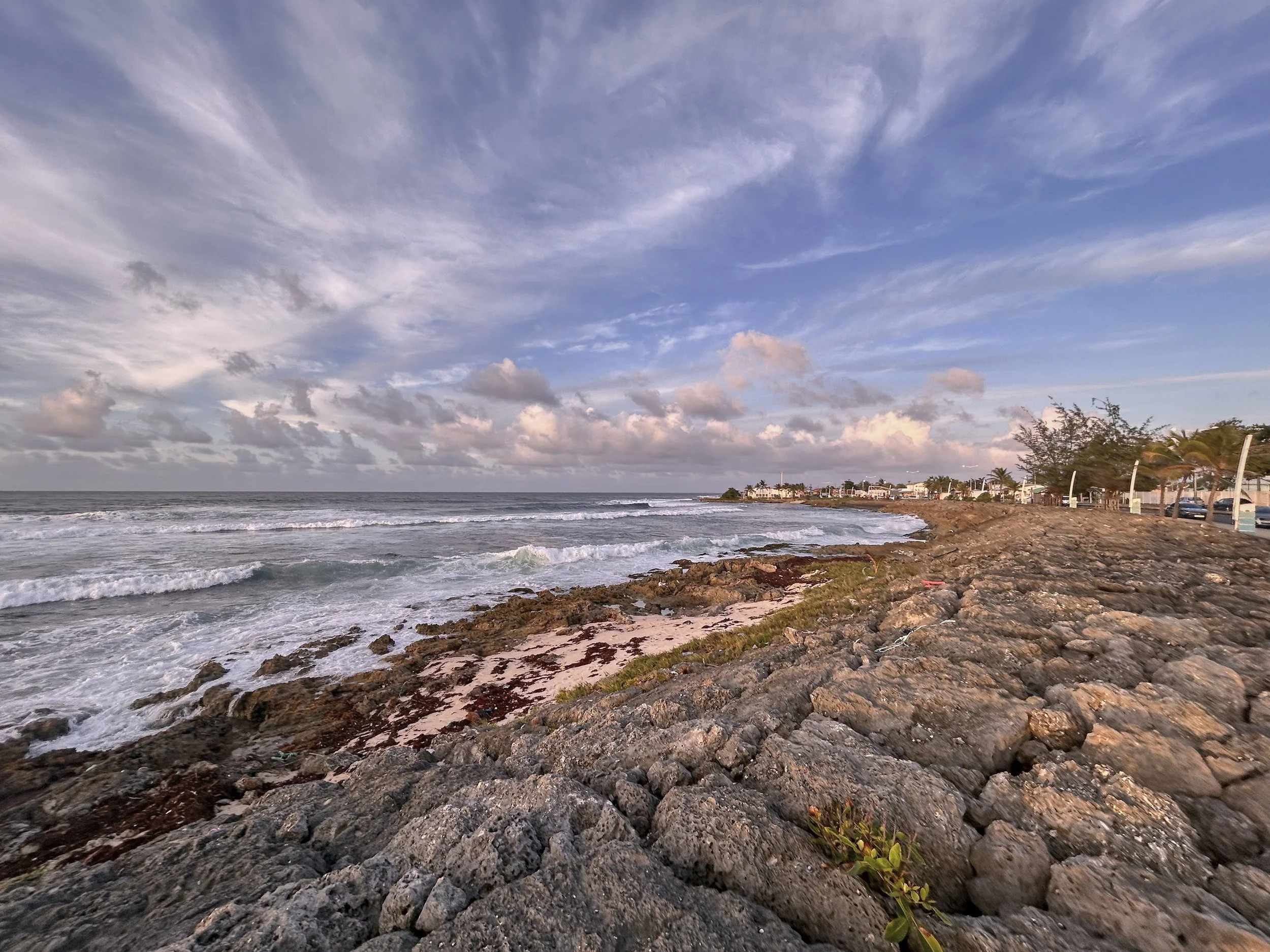 GUADELOUPE  GUADELOUPE  HEIC IMG_9418.jpg