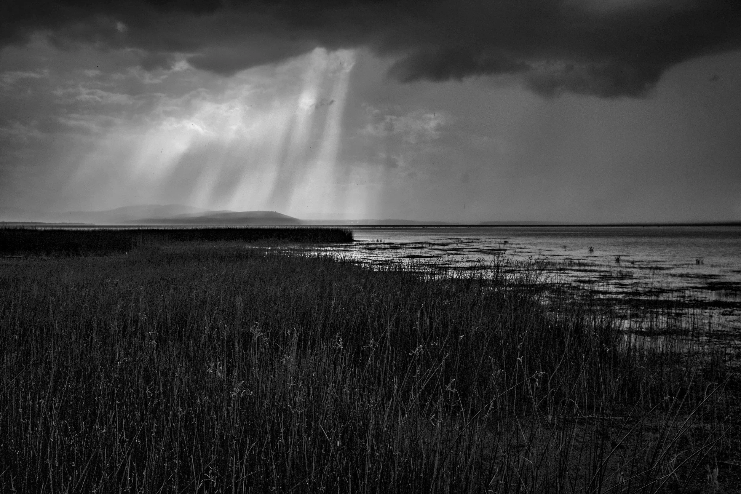 Storm BW 1.jpeg
