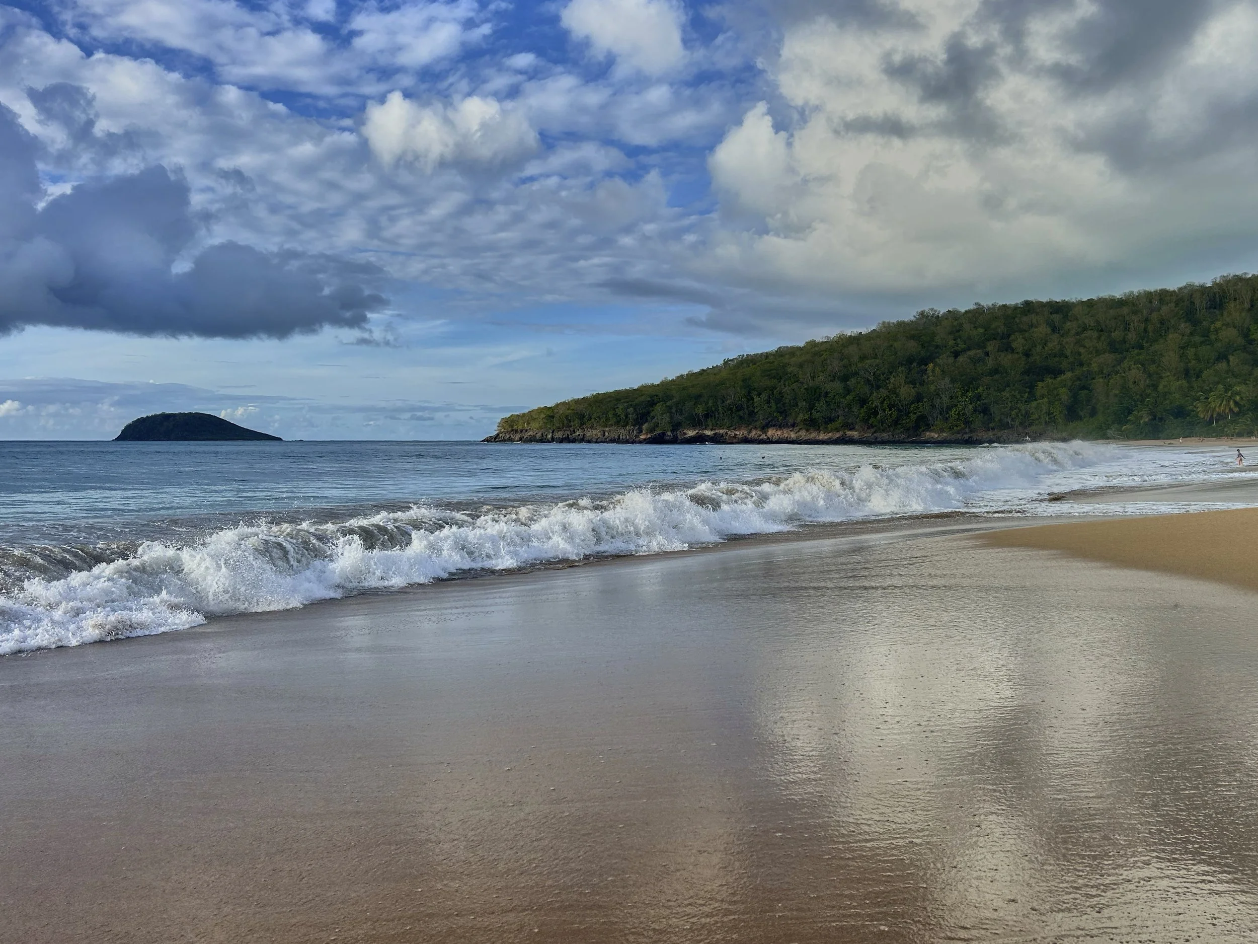 GUADELOUPE  GUADELOUPE  HEIC IMG_9366.jpg