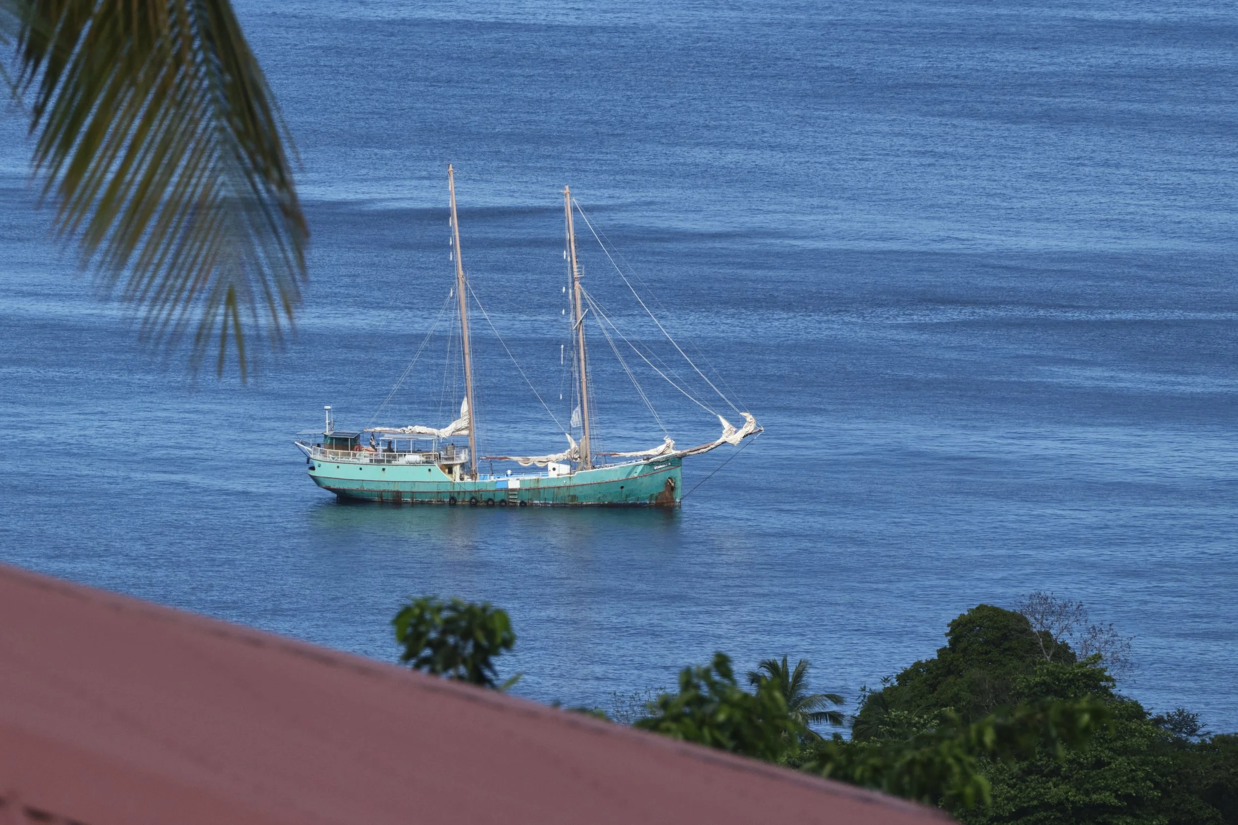 GUADELOUPE  GUADELOUPE  _DSF7984.jpg