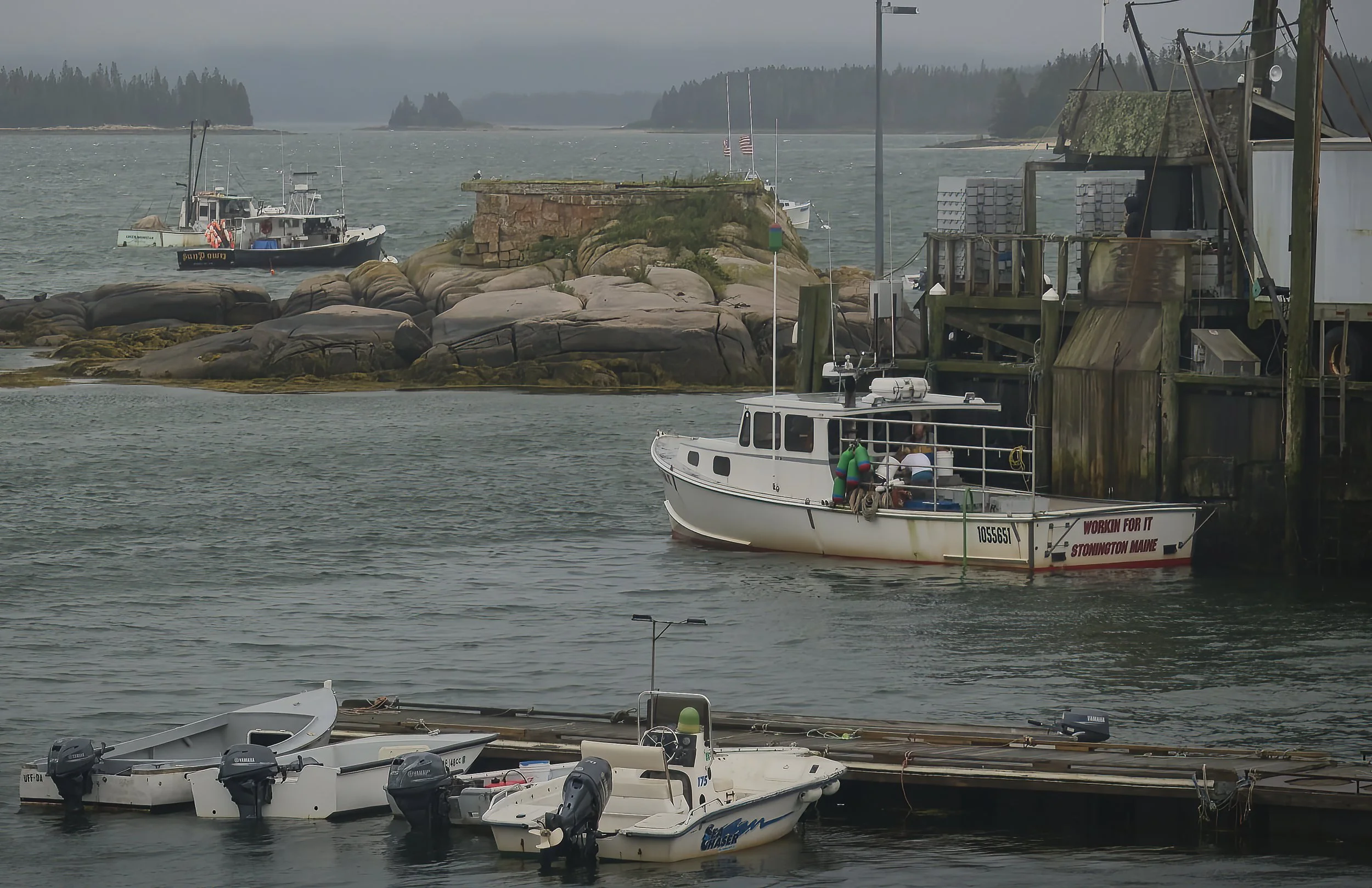 MAINE LN2  EGGEMOGGIN 18-08-23SXF16-80mmF4 R OIS WR 17392 1.jpg