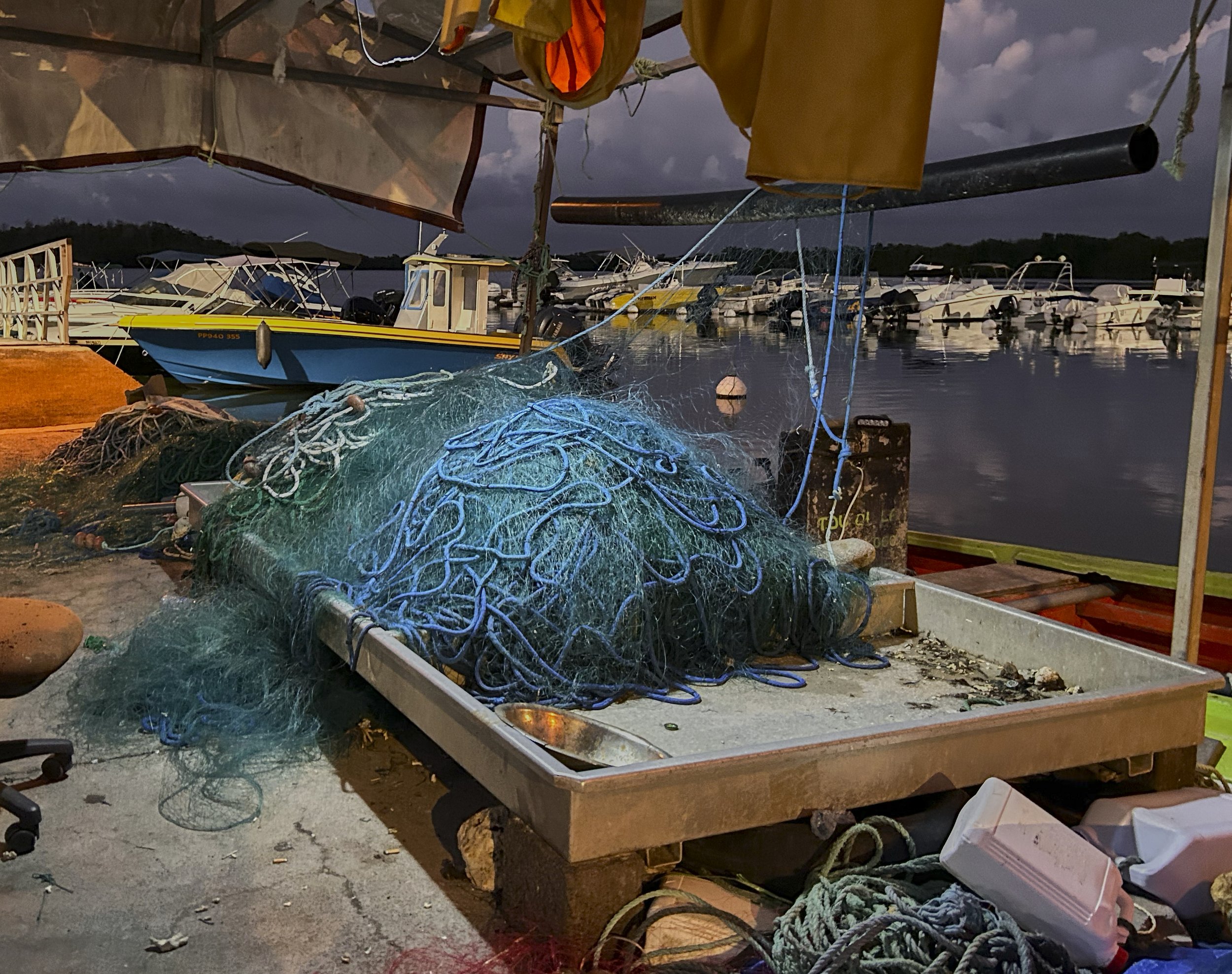 GUADELOUPE  GUADELOUPE  HEIC IMG_9406.jpg