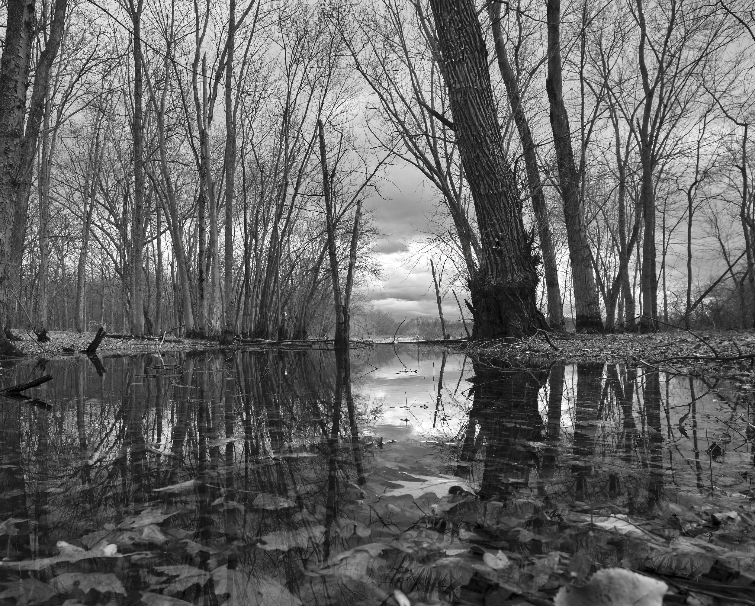 VERMONT  LN LAKE CHAMP _DSF7879.jpg