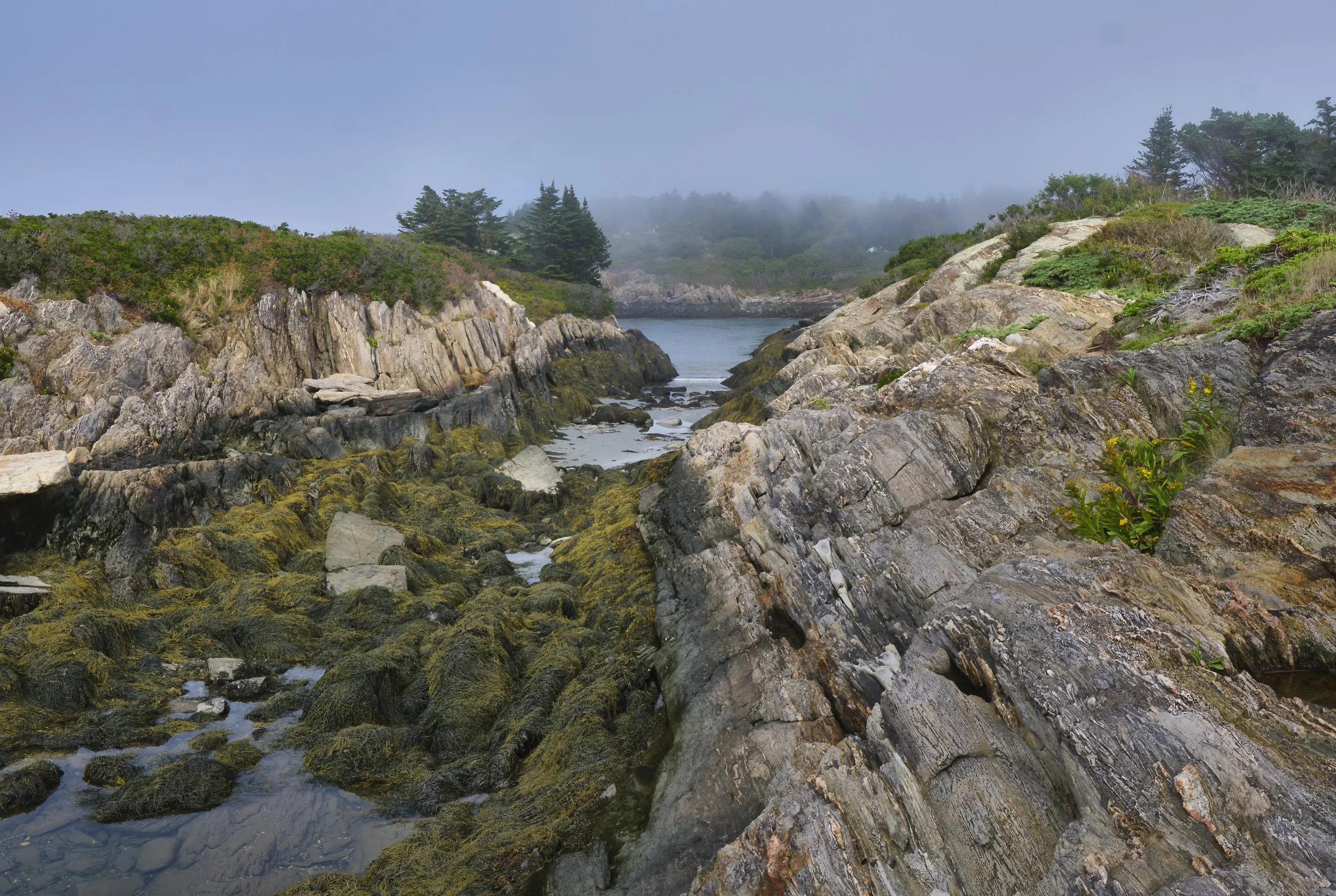 VERMONT  LN HERMIT FOG   18-09-21  Fujifilm Fujinon XF18-55mmF2.8-4 R LM OIS6334.jpg