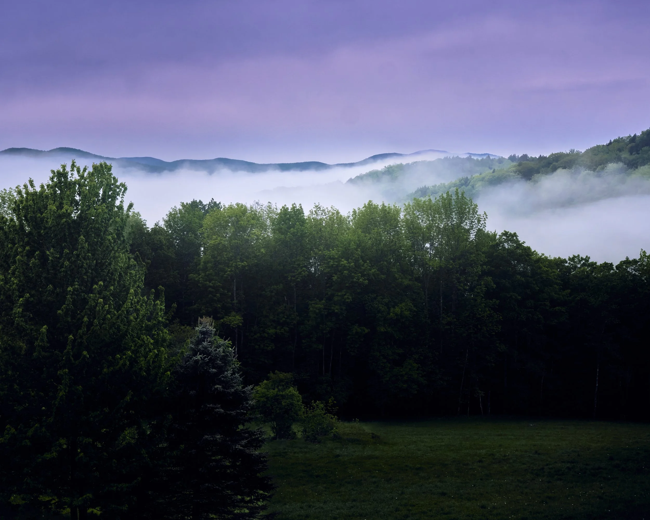 KB SPRING PAI  Middlesex Before Sunrise 1.jpg