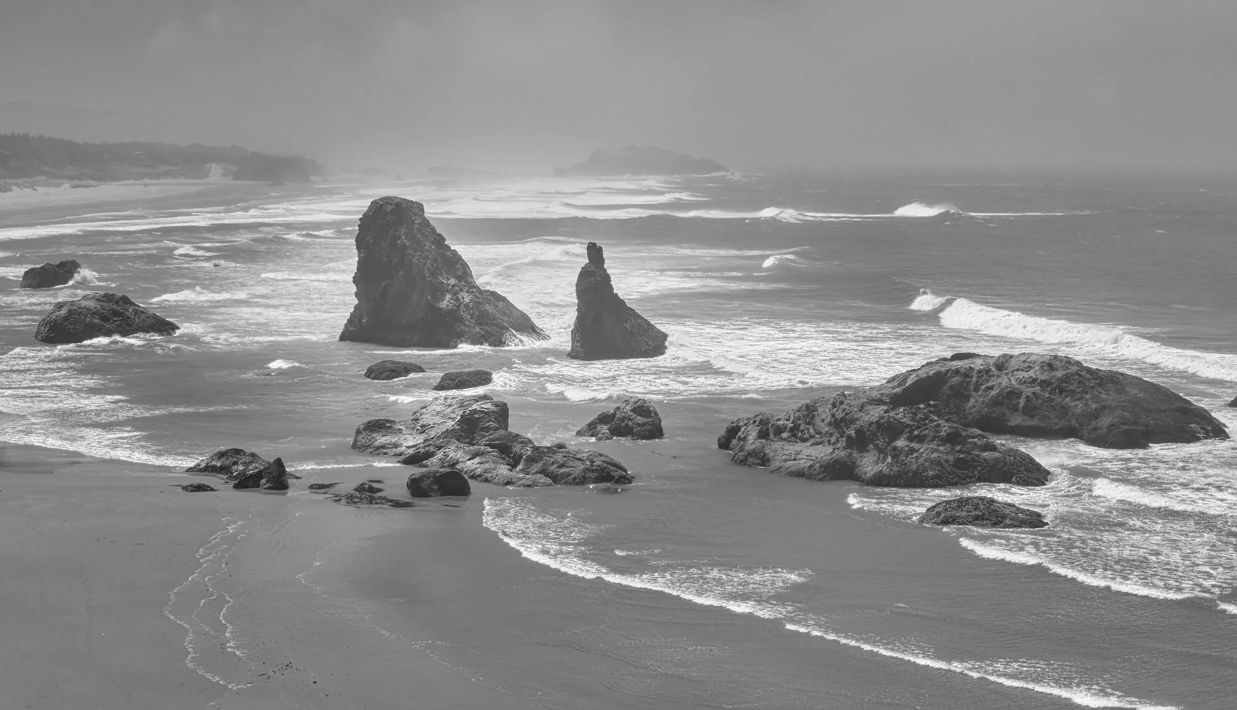 OREGON  LN COAST DAY 3  03-07-23XF16-80mmF4 R OIS WR 16767.jpg