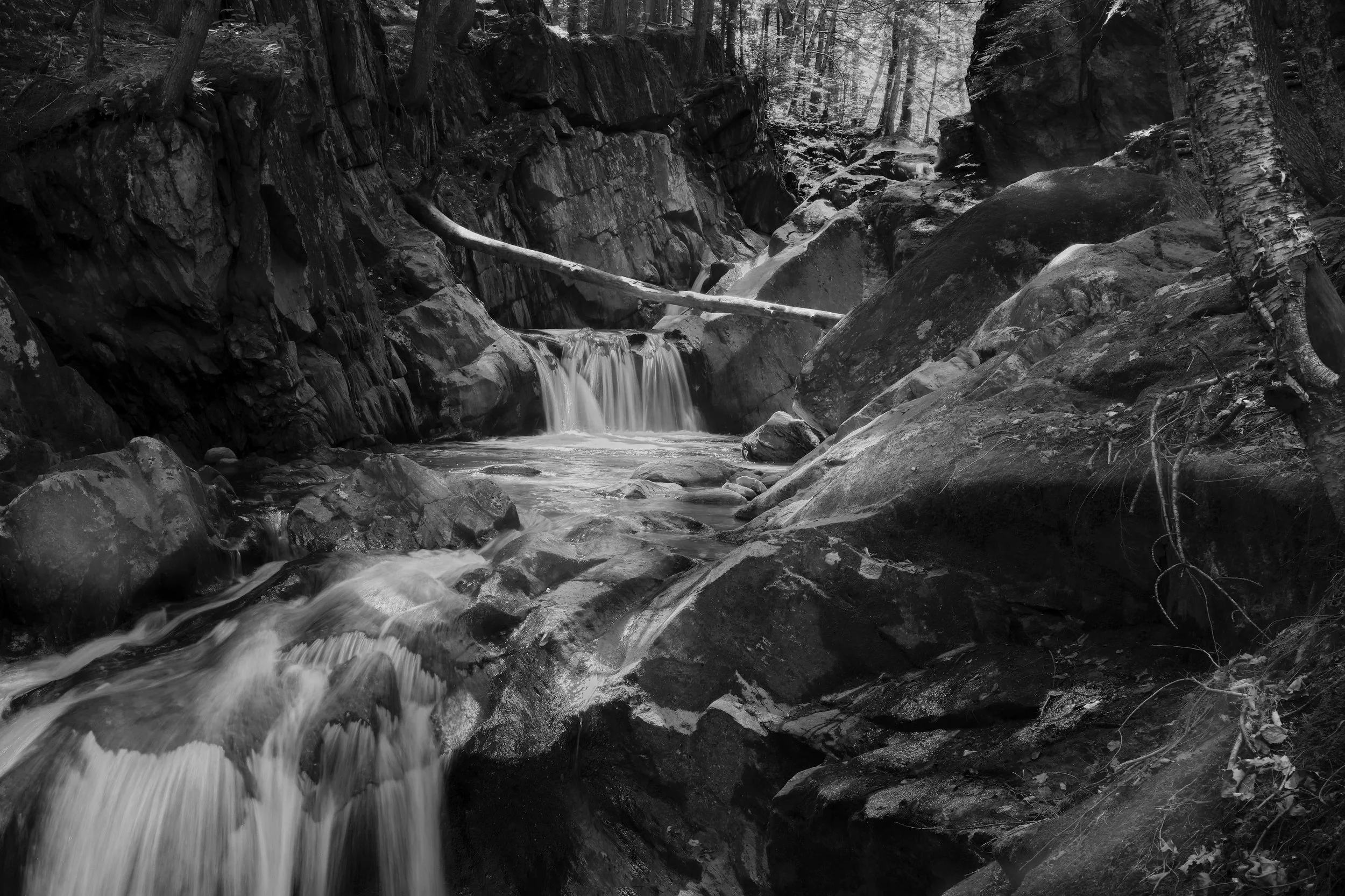 VERMONT  ap2  HONEY HOLLOW 17-09-23SXF23mmF1.4 R LM WR 17480.jpg