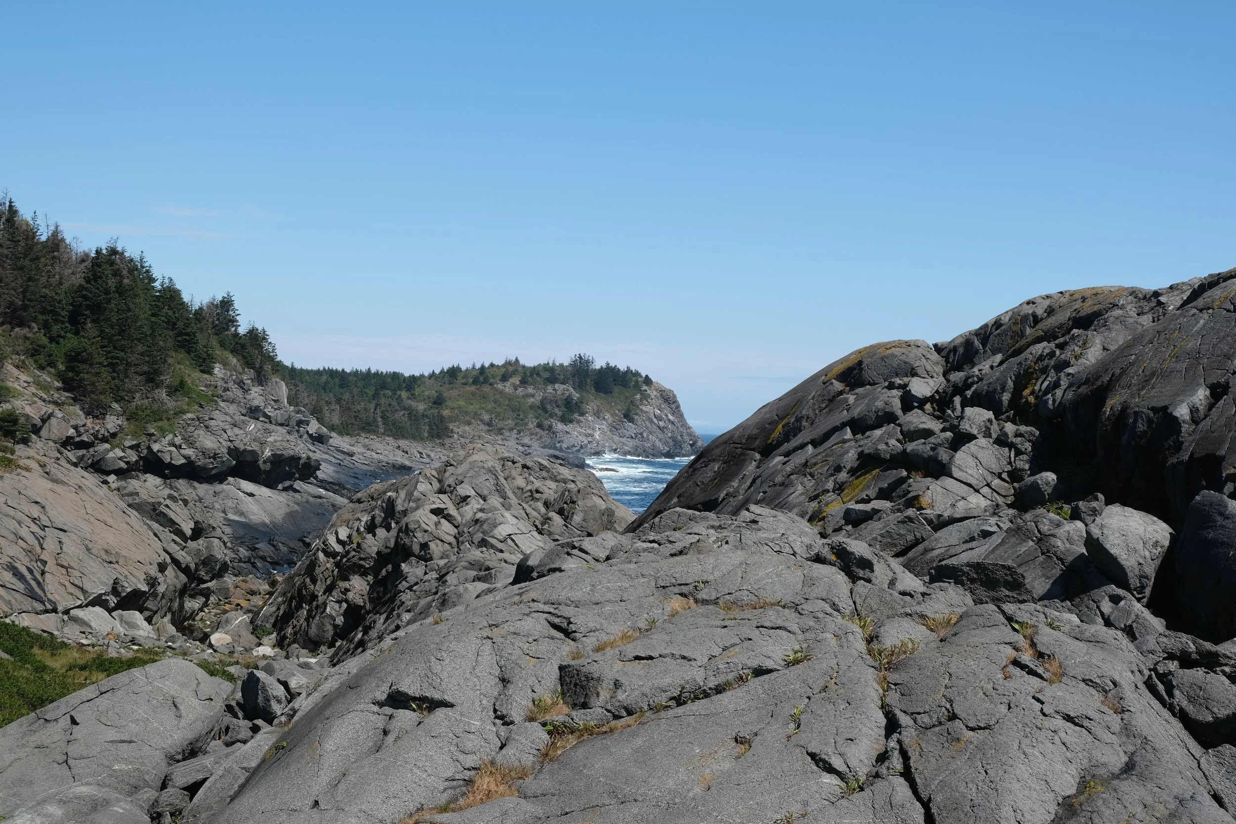 DSCF9895.JPG