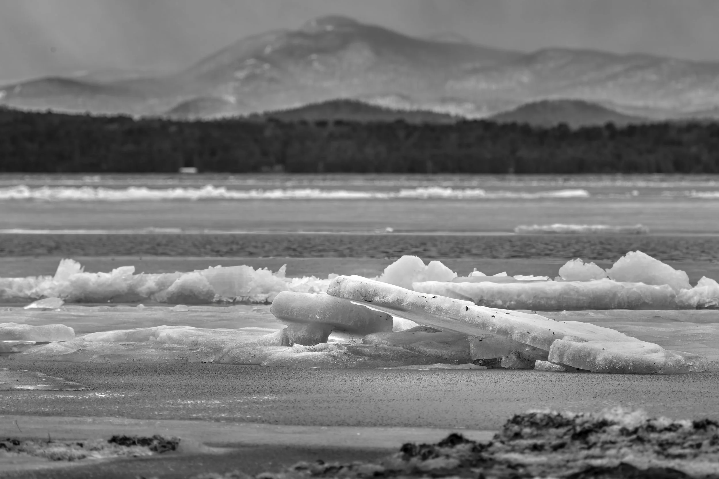 VERMONT  LN LAKE CHAMP _DSF7838.jpg