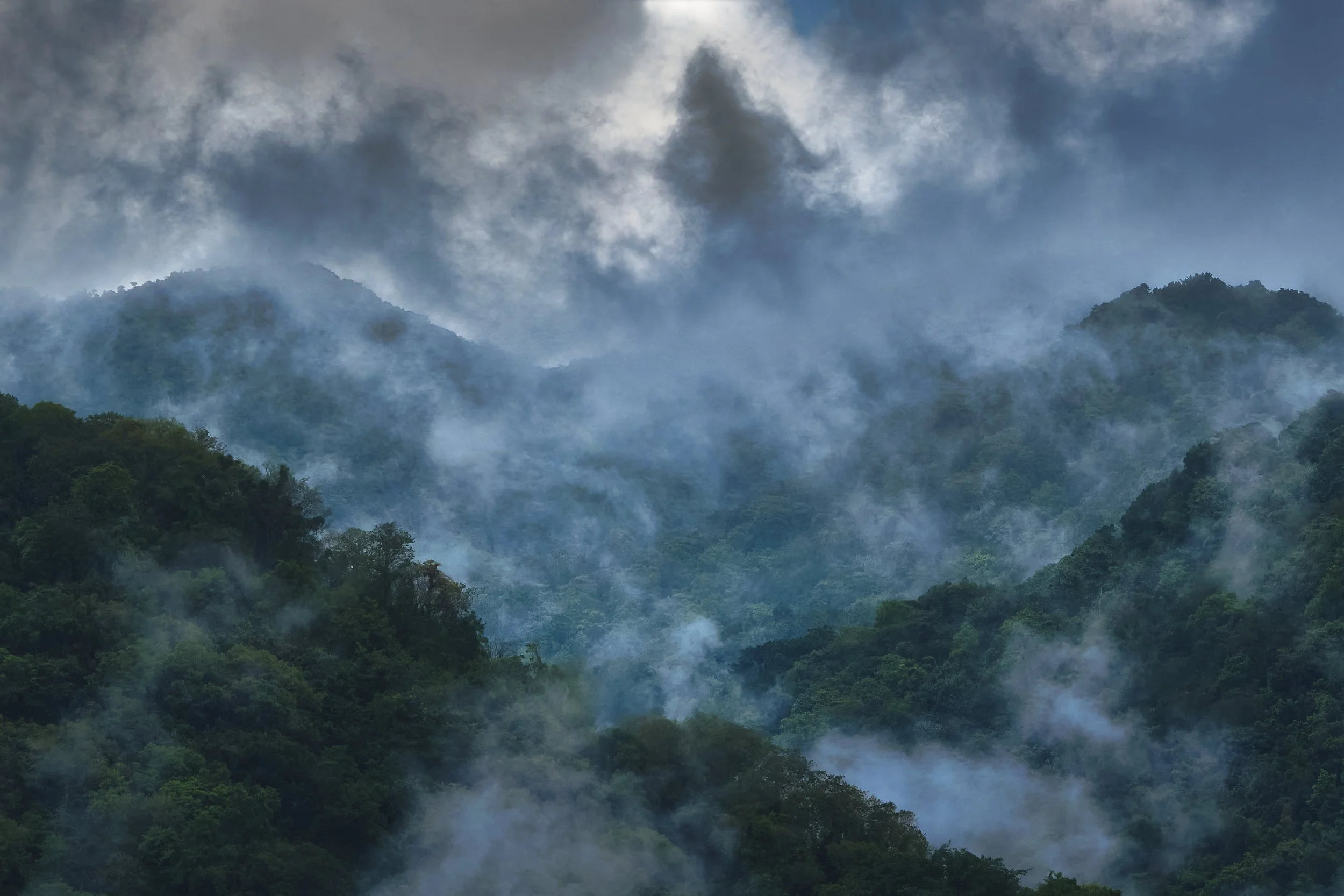 GUADELOUPE  LN2 FOG MTN GUADELOUPE  _DSF8243.jpg