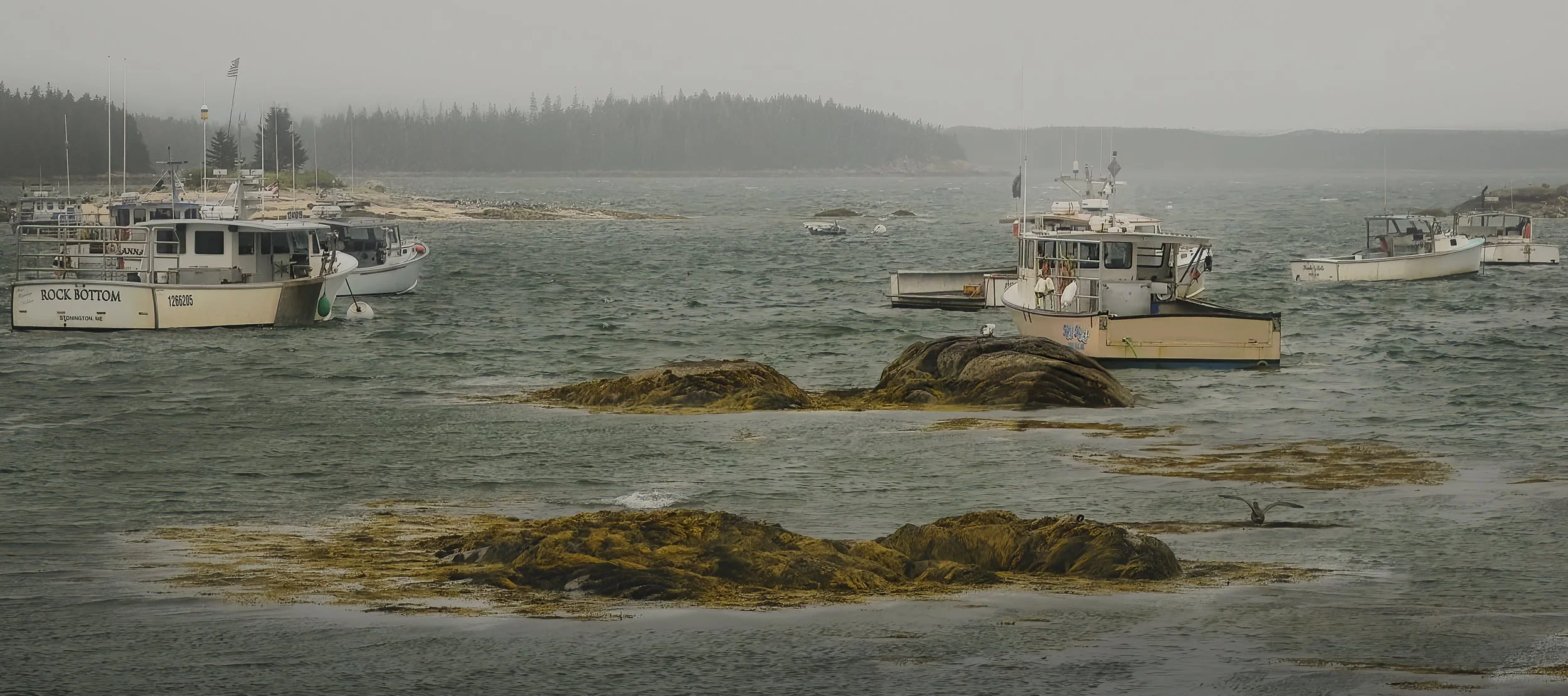 VERMONT  LN EGGEMOGGIN 18-08-23SXF16-80mmF4 R OIS WR 17400 1.jpg