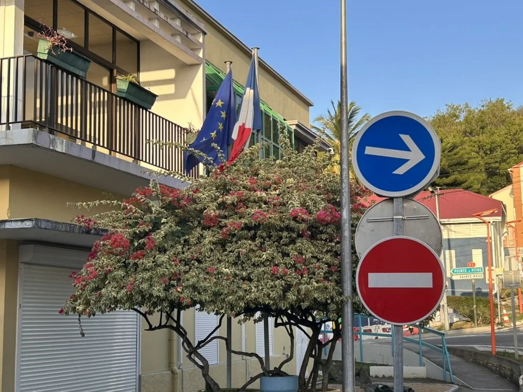 Guadeloupe is french.  So, we were in the EU.  