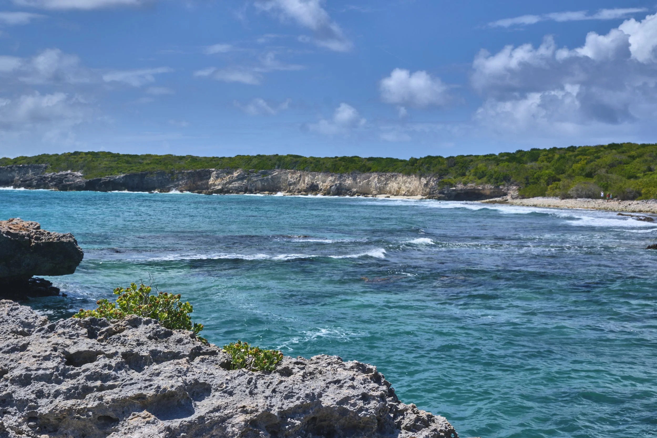 GUADELOUPE  GUADELOUPE  _DSF9606.jpg