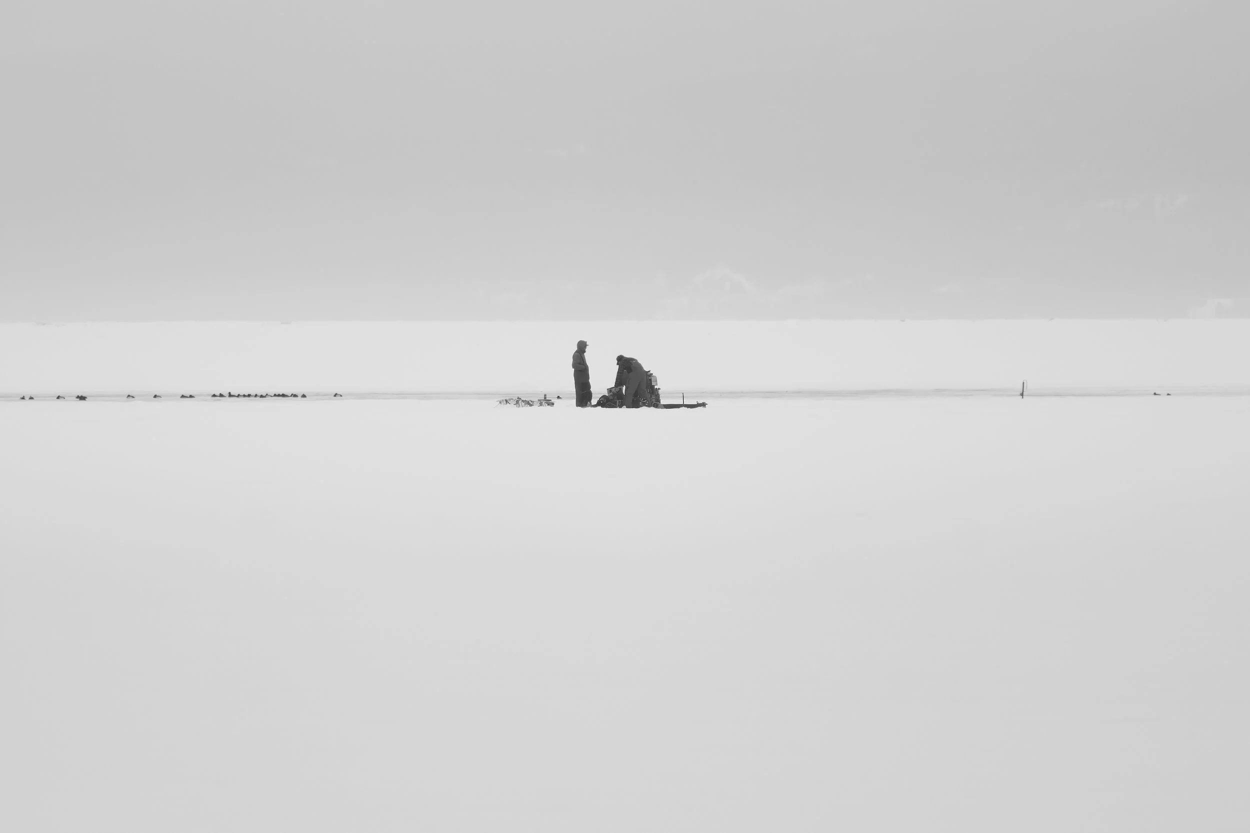 VERMONT  PAI ISALND WEEDSISLANDS_DSF7721-topaz  04122025 v2-sharpen-denoise.jpg