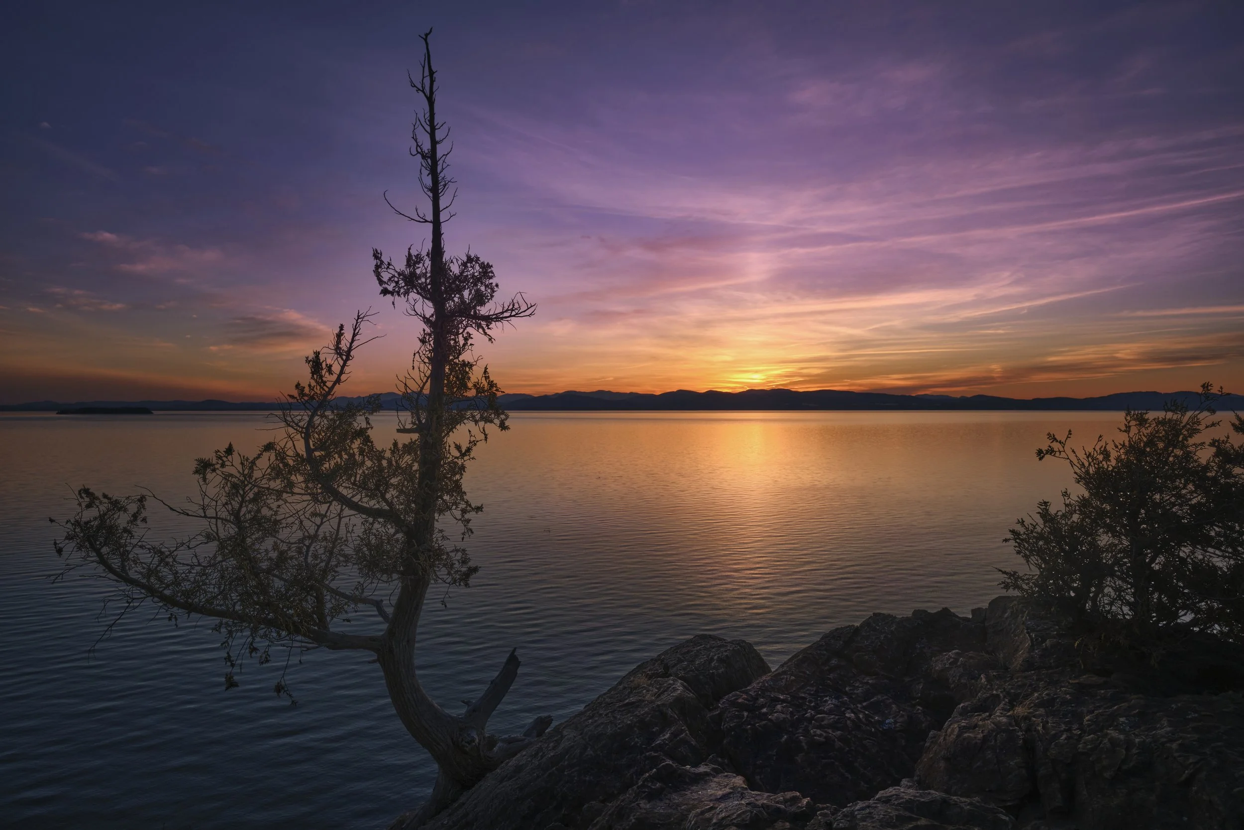 VERMONT  LONE TREE POINTFujifilm Fujinon XF14mmF2.8 RX-H212-02-23 13359.jpg