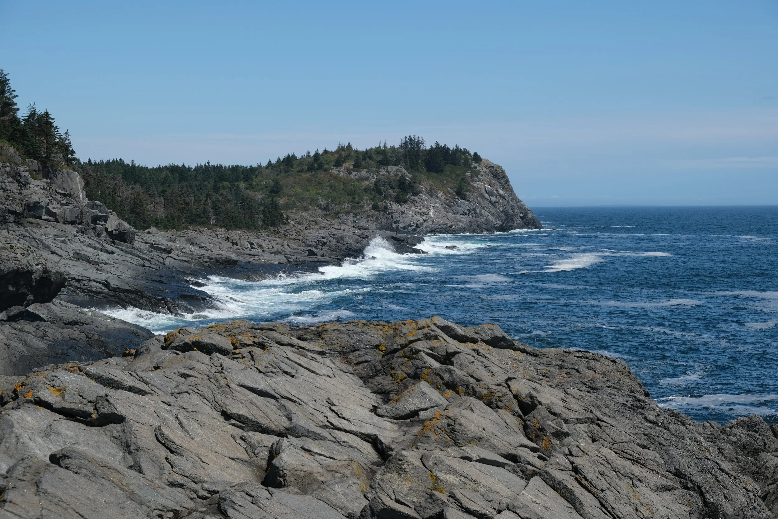 DSCF9889.JPG