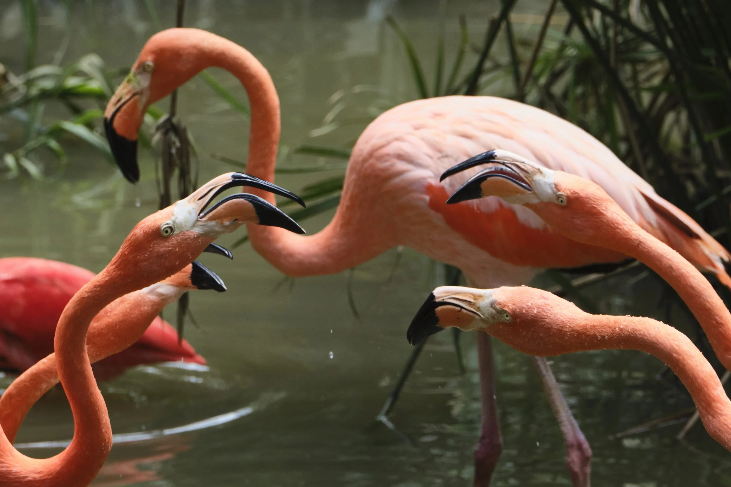 Planning their next trip? Or, whats for dinner? 