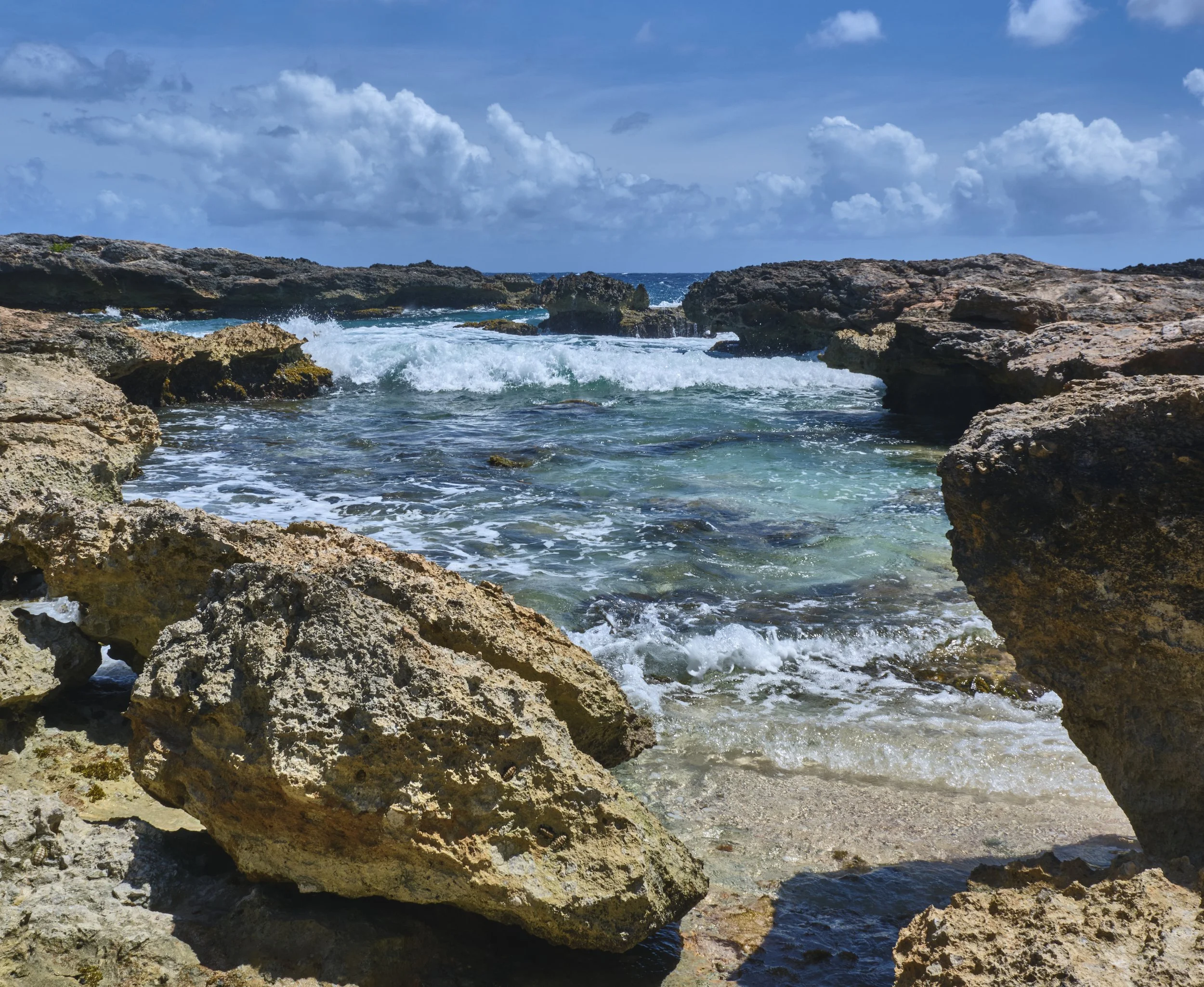 GUADELOUPE  GUADELOUPE  _DSF9602.jpg