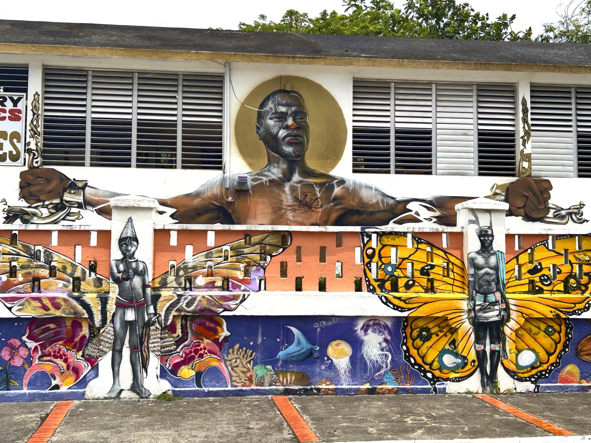 GUADELOUPE  GUADELOUPE  HEIC IMG_9438.jpg